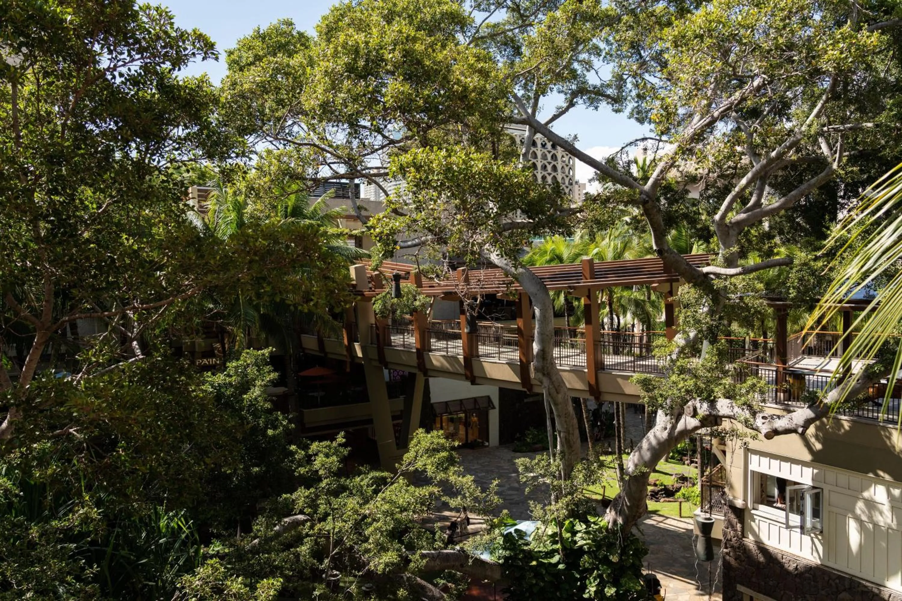 Photo of the whole room in The Royal Hawaiian, A Luxury Collection Resort, Waikiki