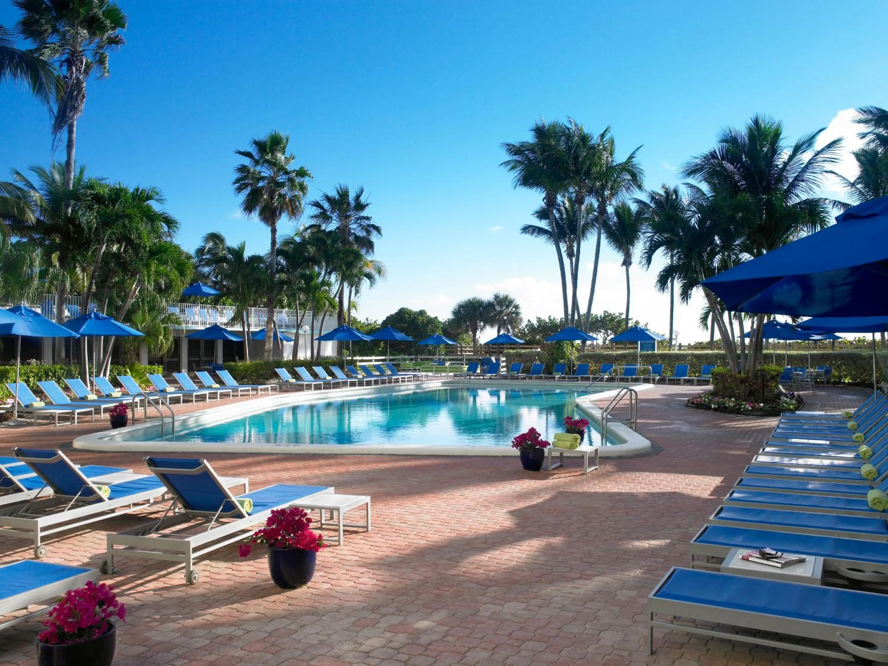 Swimming pool in Radisson Resort Miami Beach