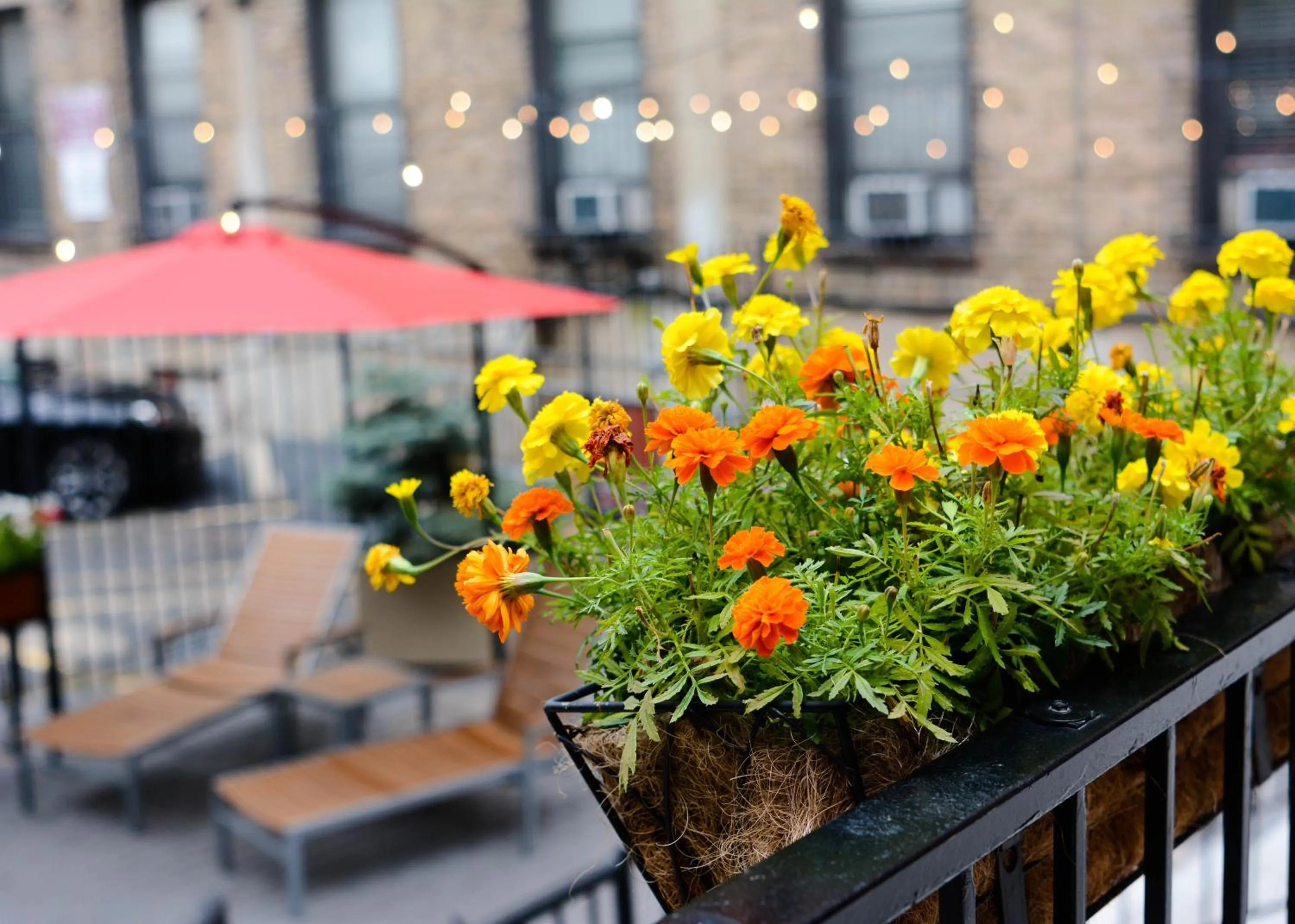 Patio in Chicago Getaway Hostel