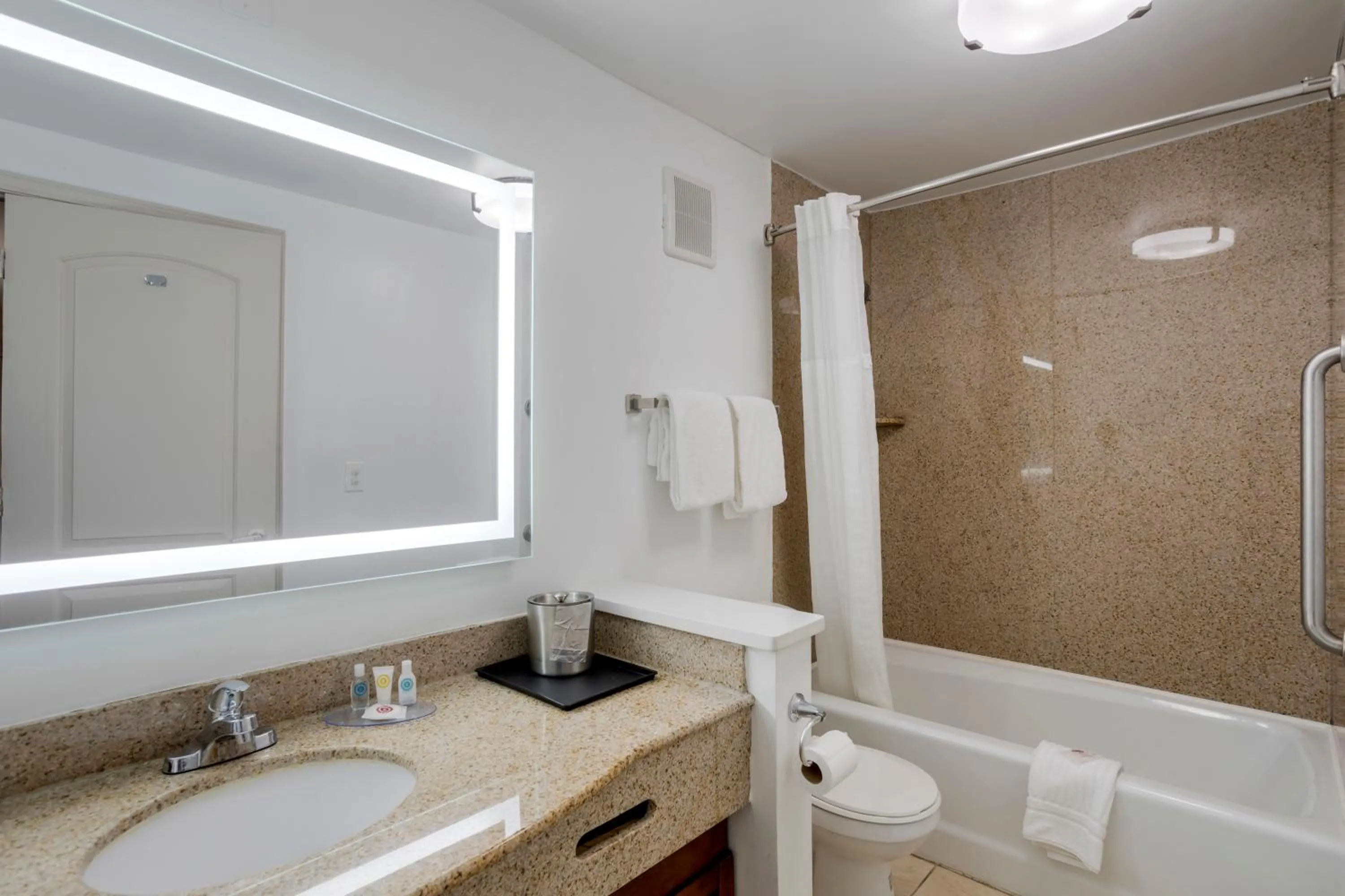 Bathroom in Comfort Inn Downtown Nashville - Music City Center