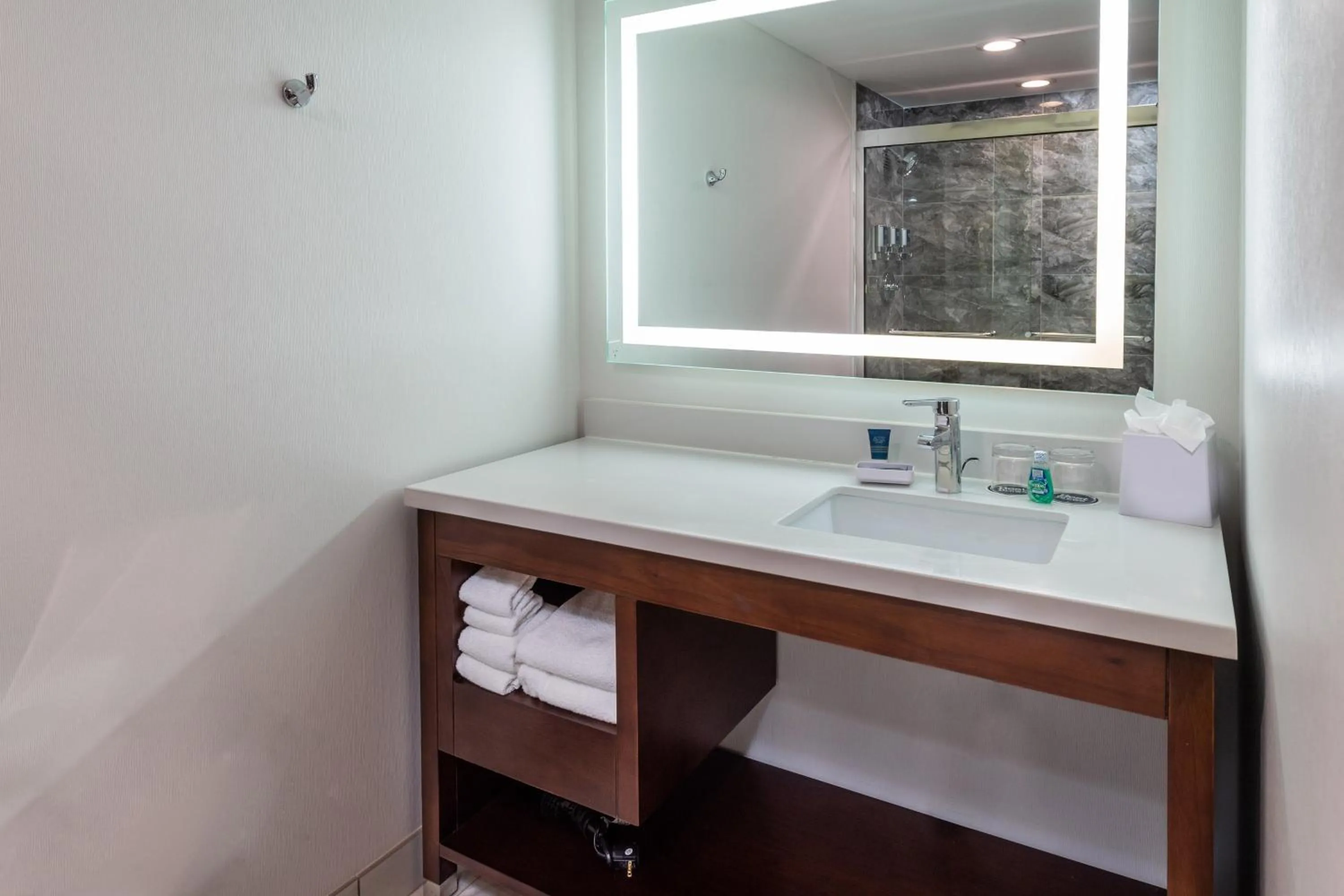Bathroom in Four Points by Sheraton Atlanta Airport West