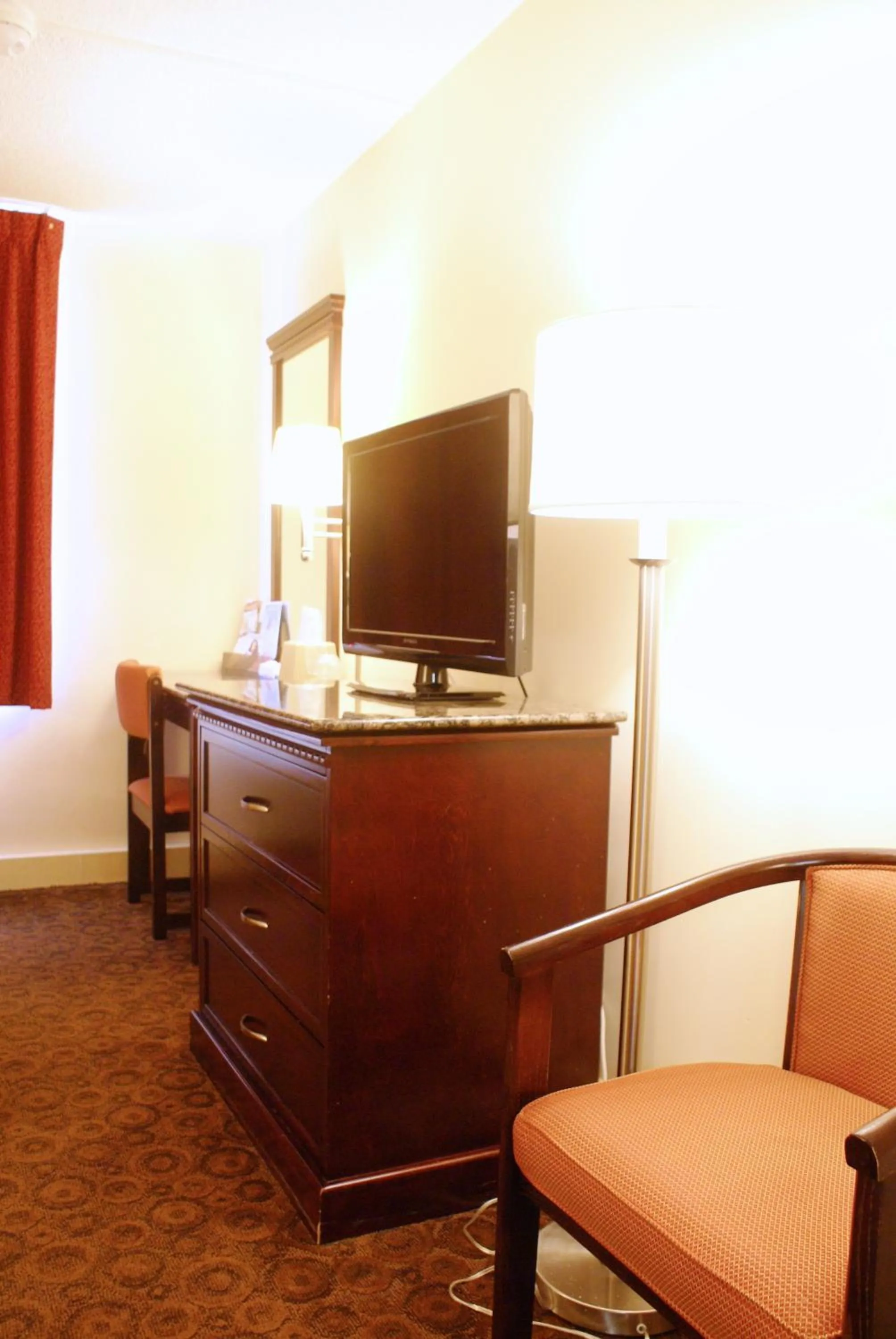TV and multimedia in Rodeway Inn