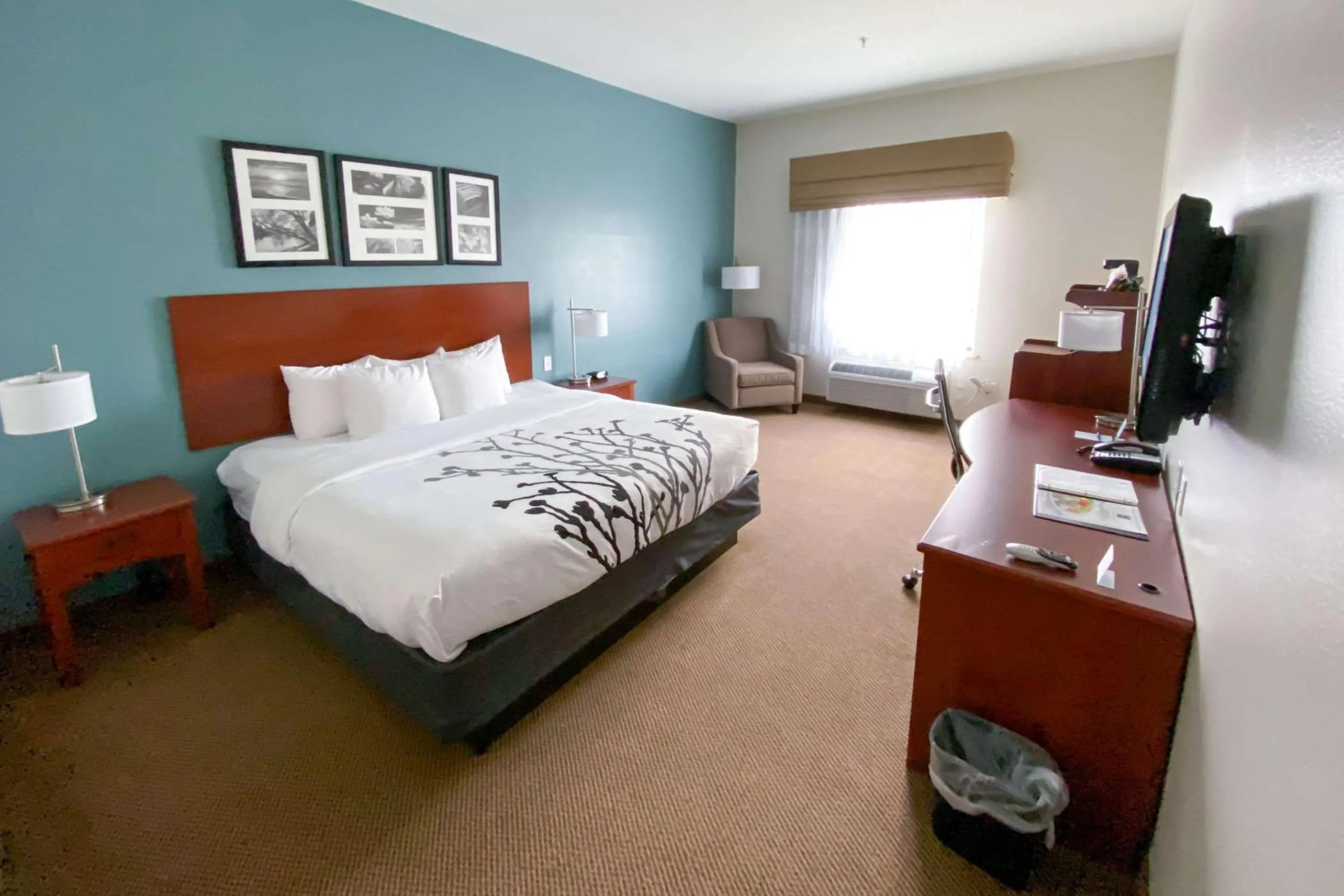 Photo of the whole room, Bed in Sleep Inn & Suites Pearland - Houston South