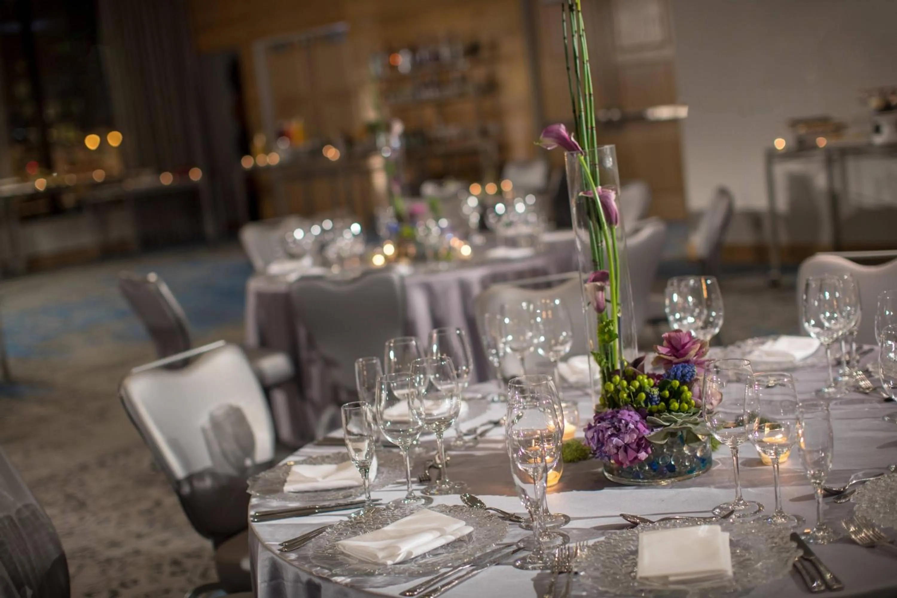 Banquet/Function facilities in Renaissance Chicago Downtown Hotel