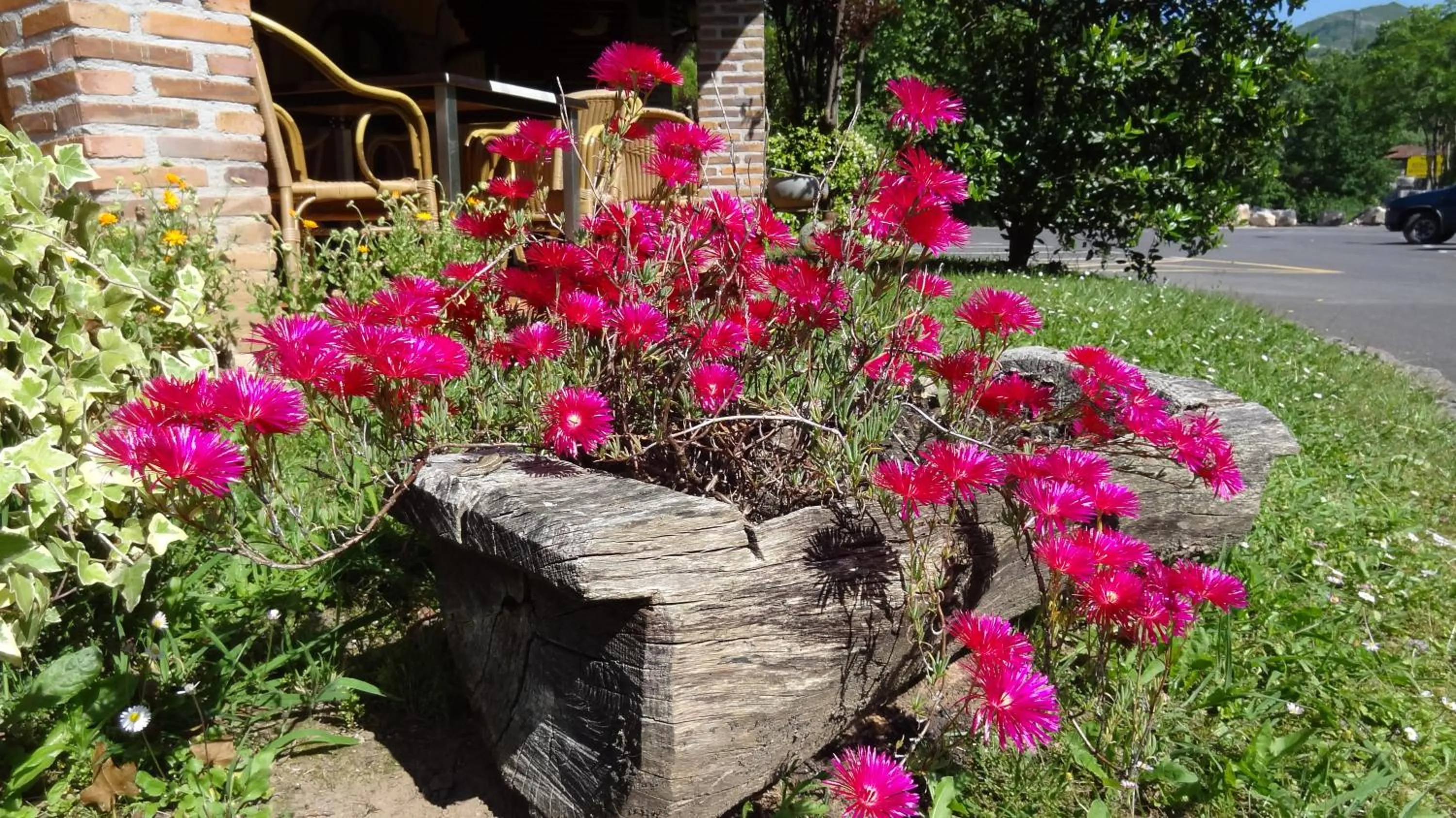 Other in Hotel El Bricial