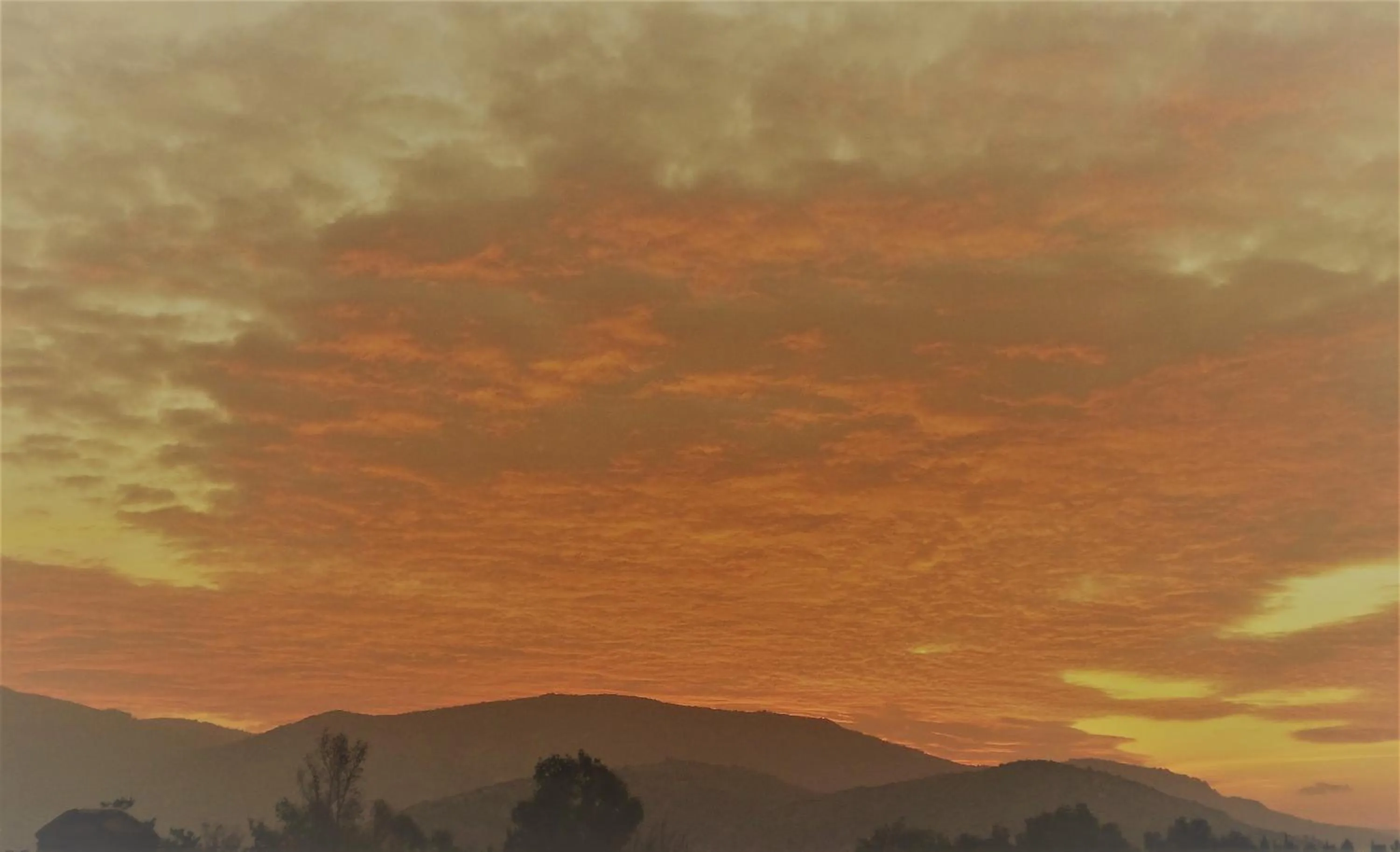 View (from property/room) in Ephesus Palace