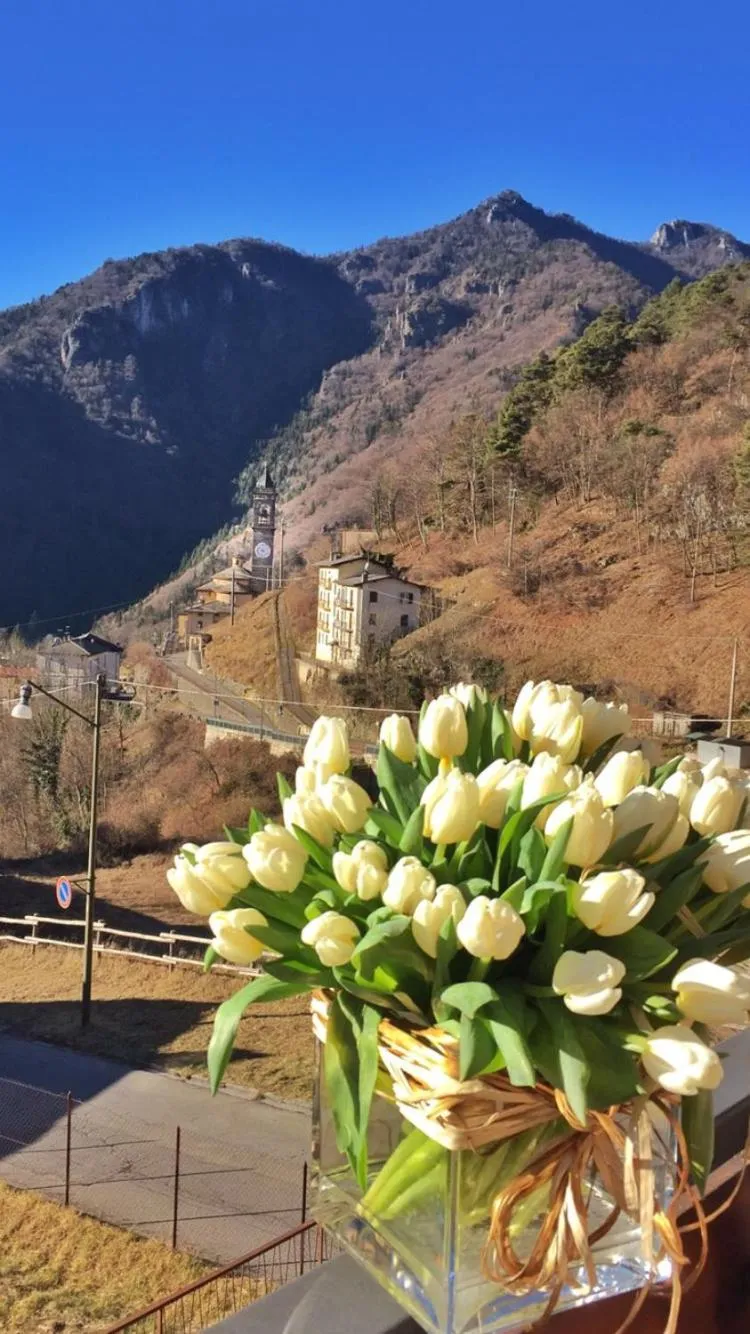Natural landscape in Albergo Piazzatorre