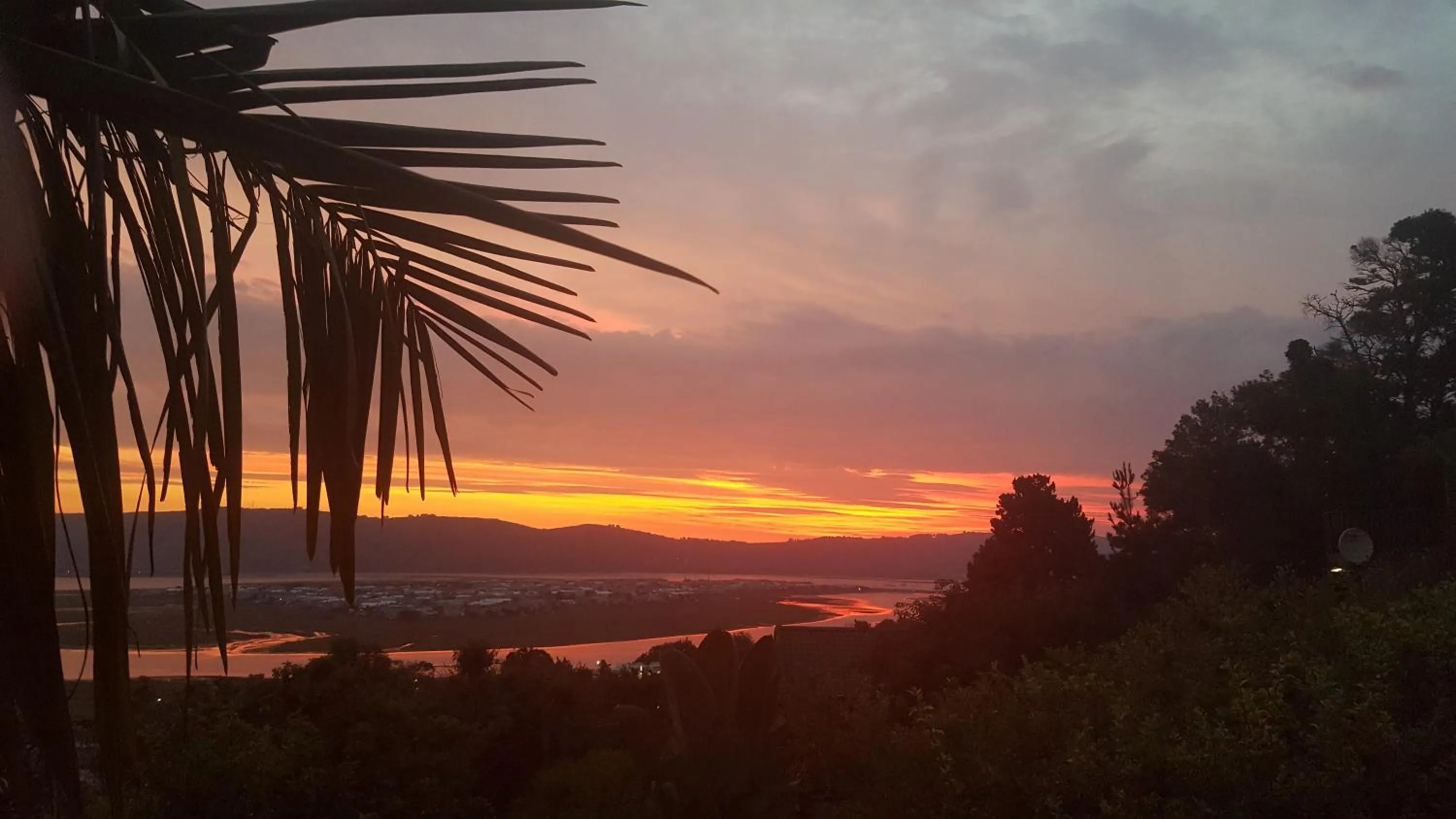 Sea view in Big Tree House Lodge