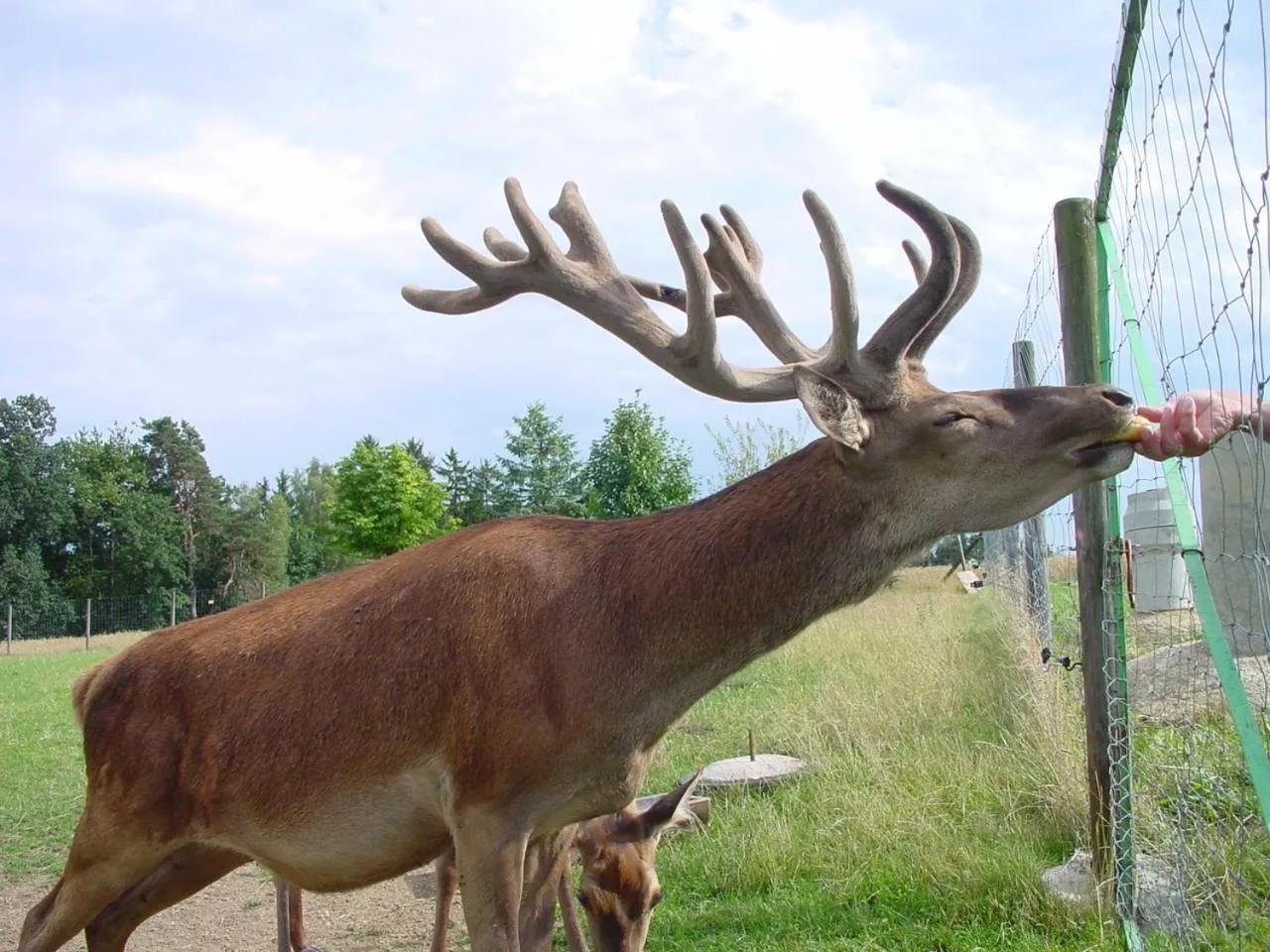 Day in Panorama-Hotel am See