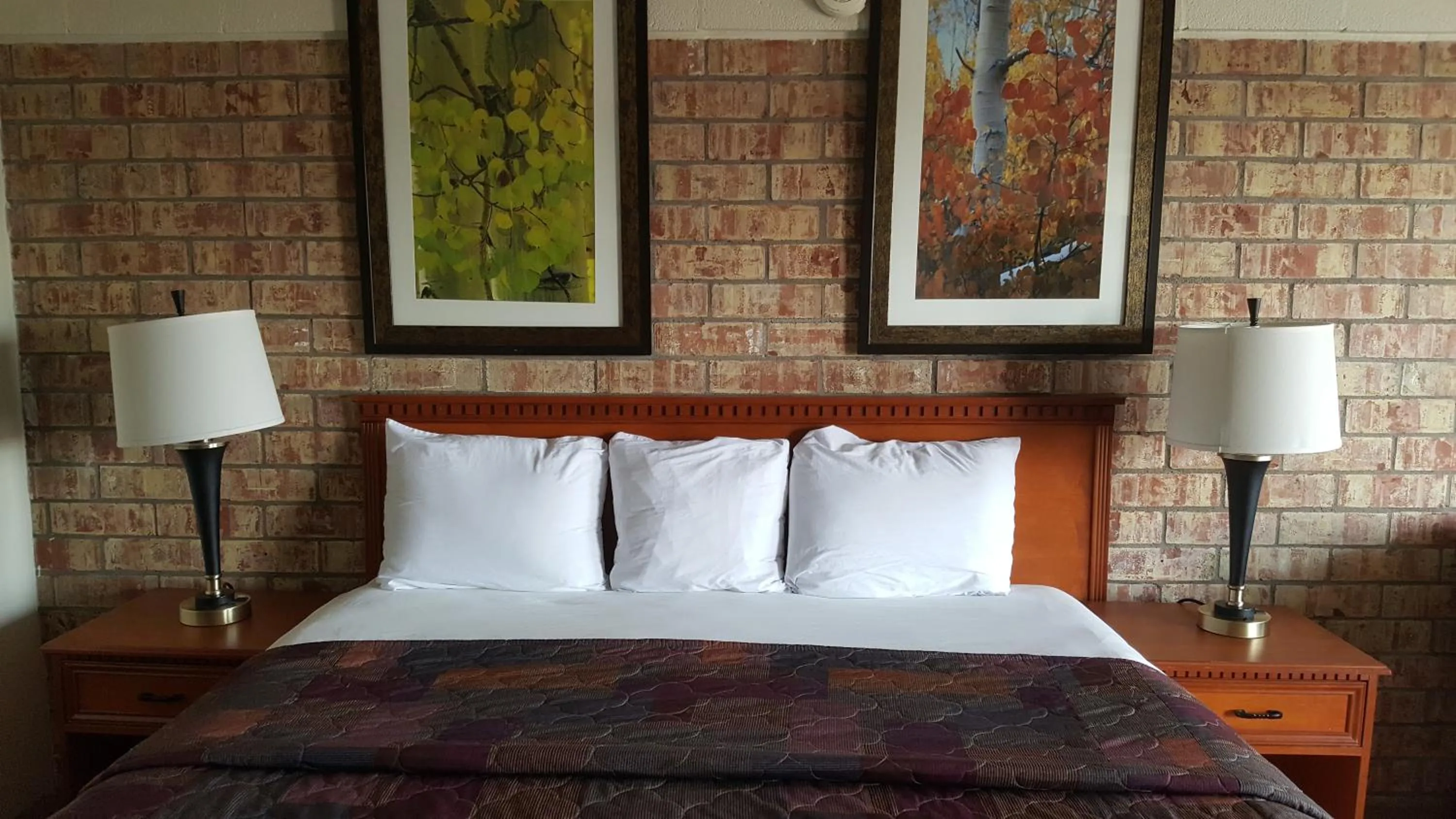 Bed in Budget Host Platte Valley Inn