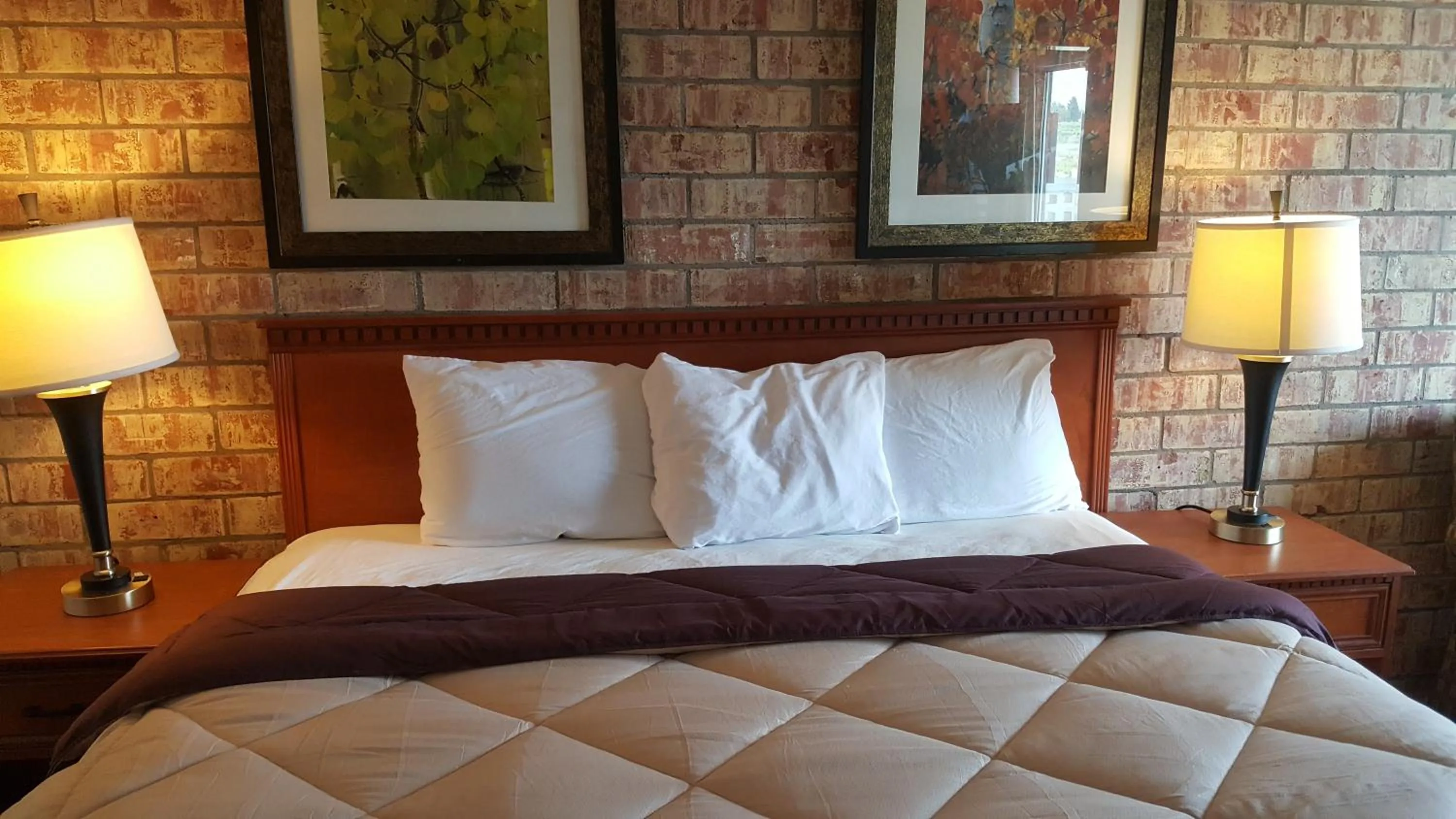 Bed in Budget Host Platte Valley Inn