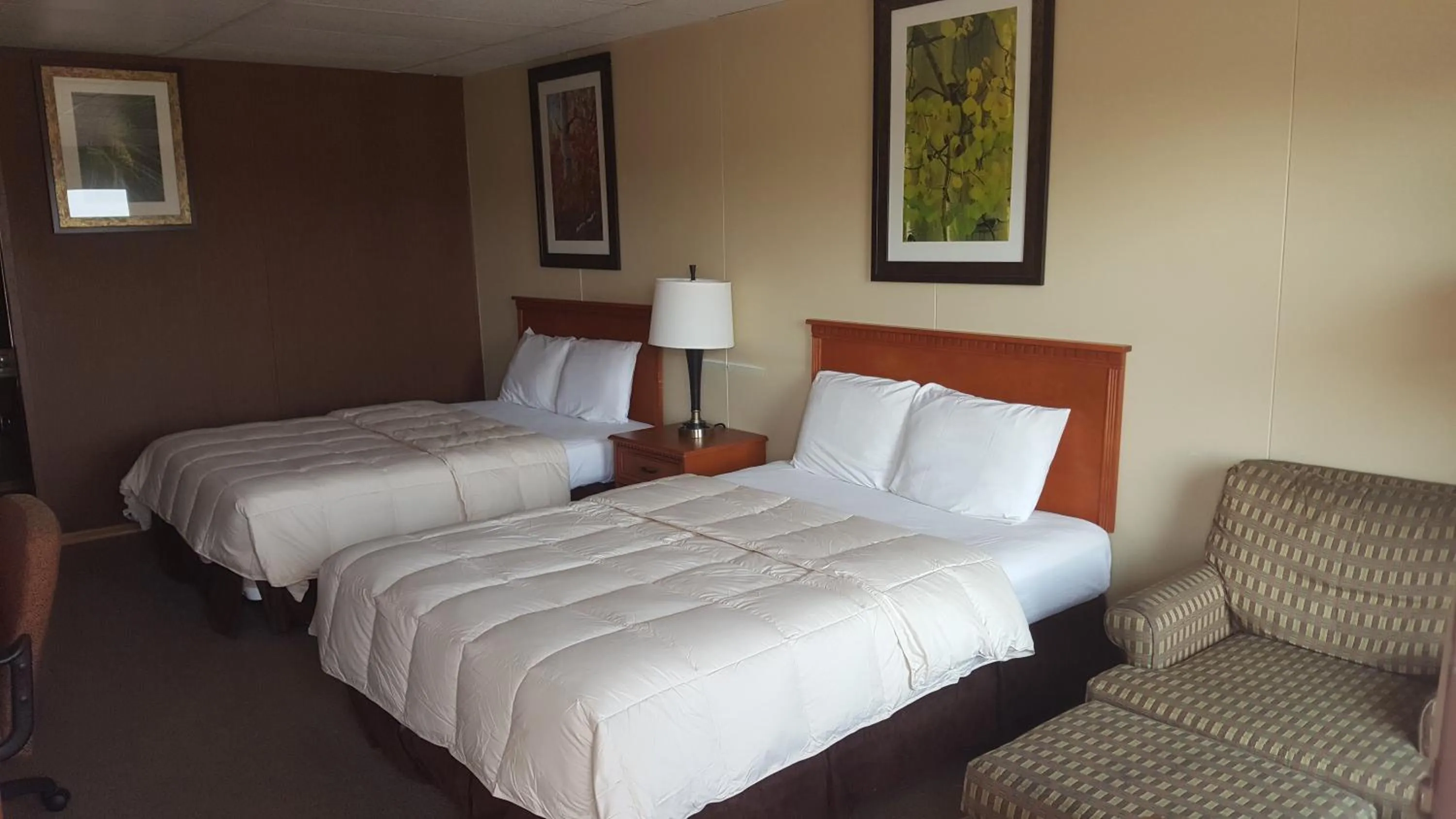 Bed in Budget Host Platte Valley Inn