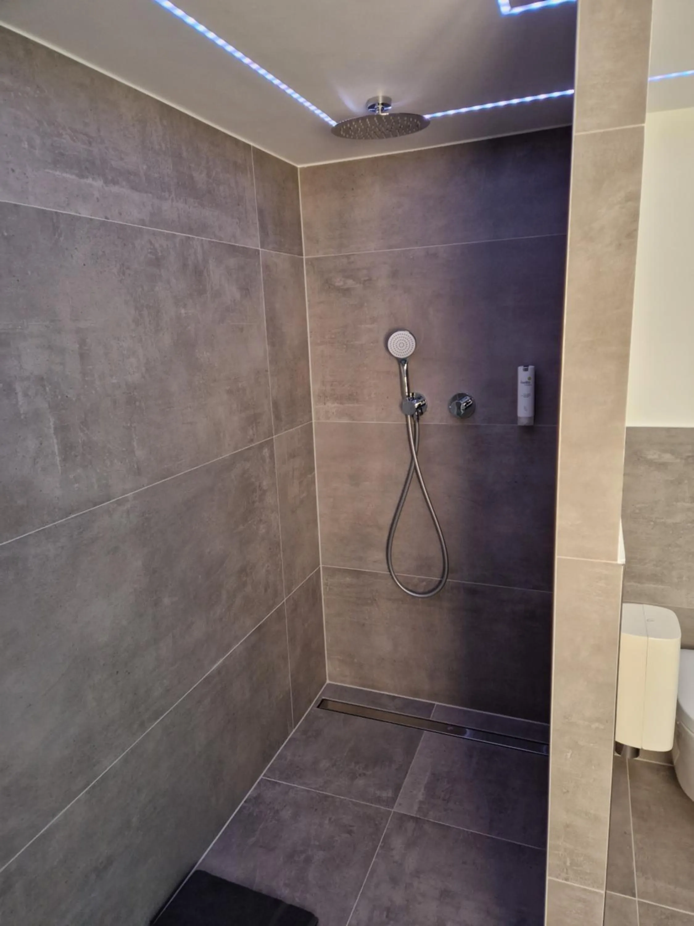 Shower in Hotel DreiKönig & Restaurant SeeGourmet