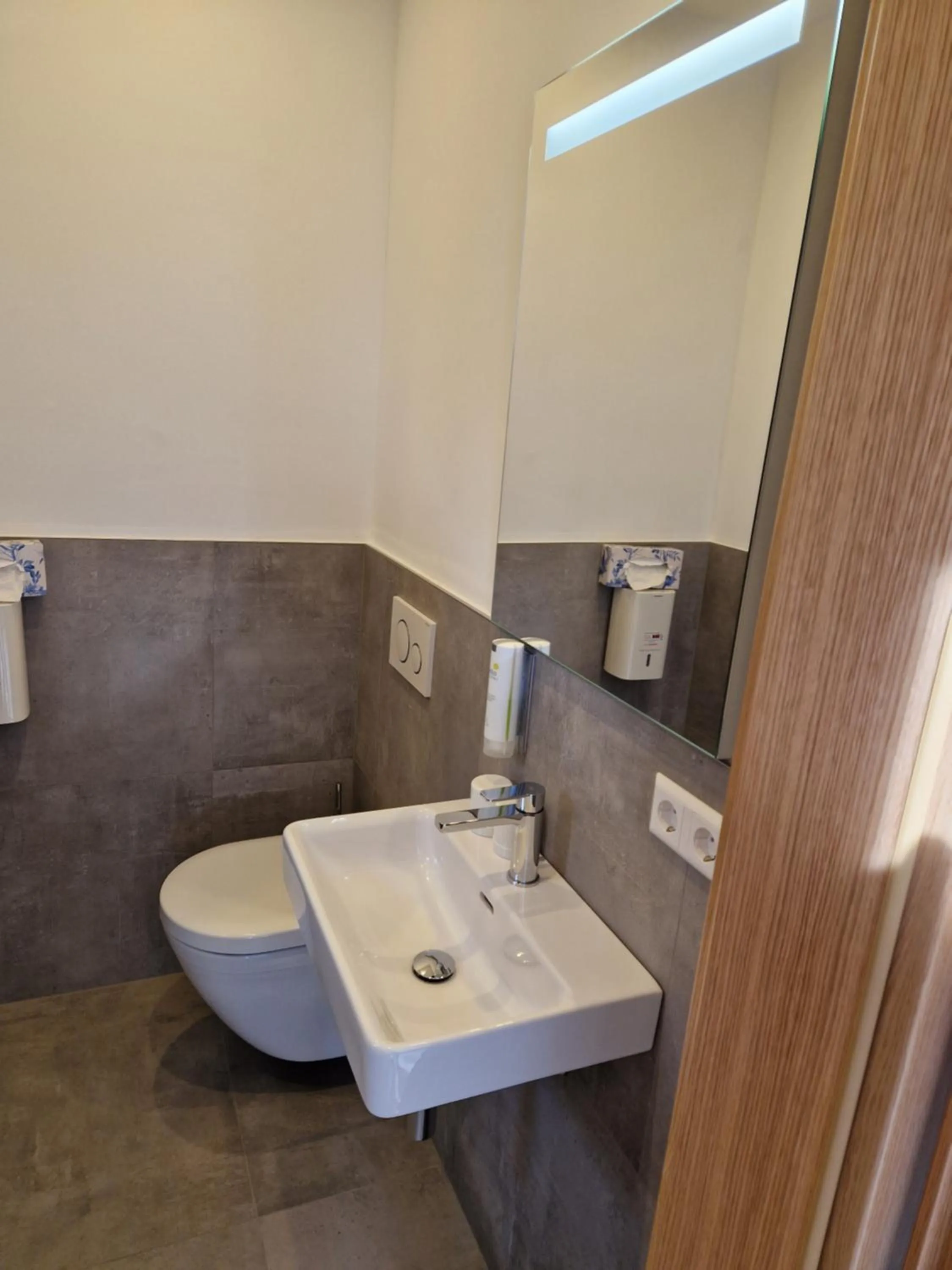 Toilet in Hotel DreiKönig & Restaurant SeeGourmet