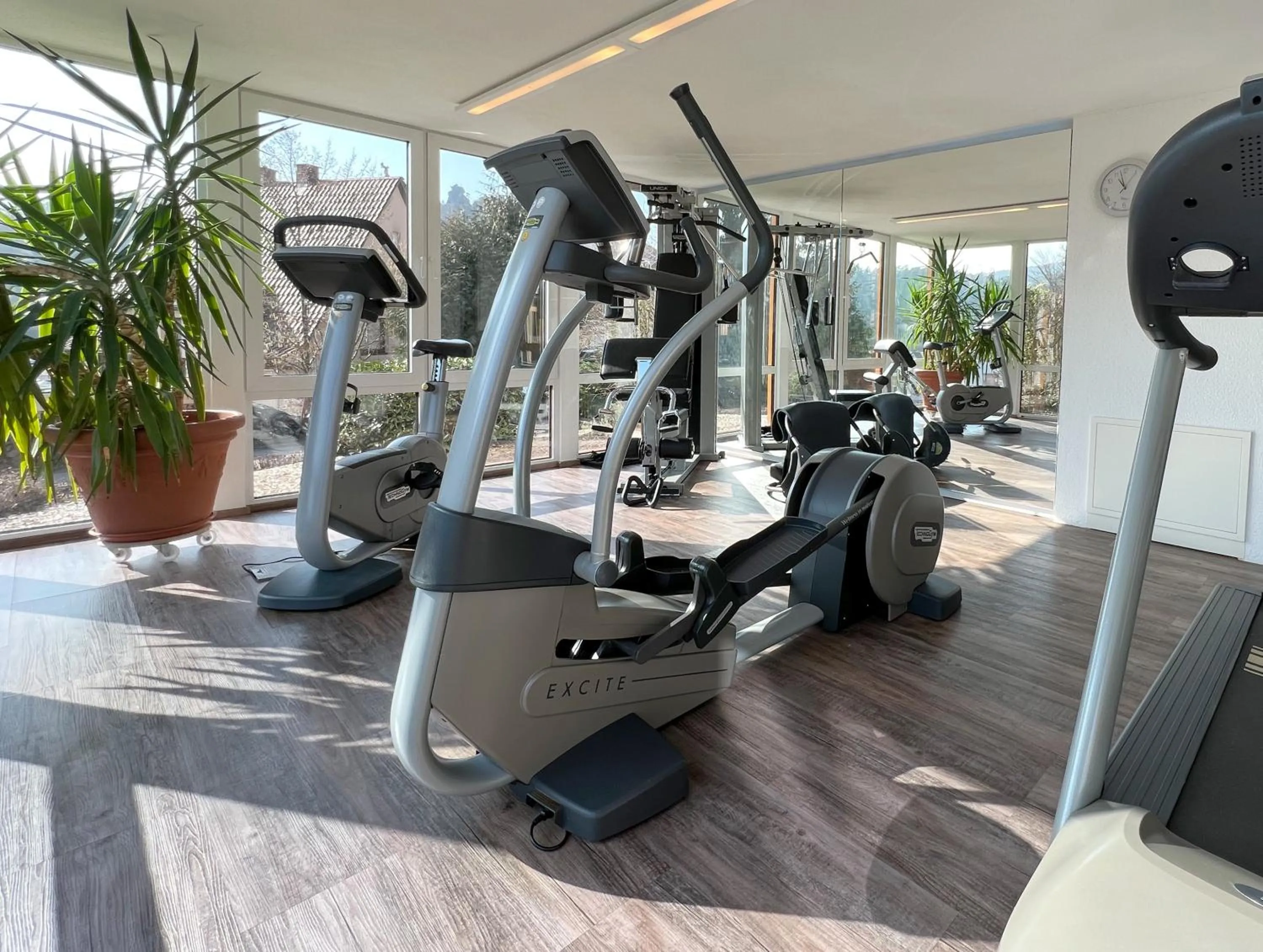 Fitness centre/facilities in Hotel Am Hirschhorn - Wellness - Spa - and more
