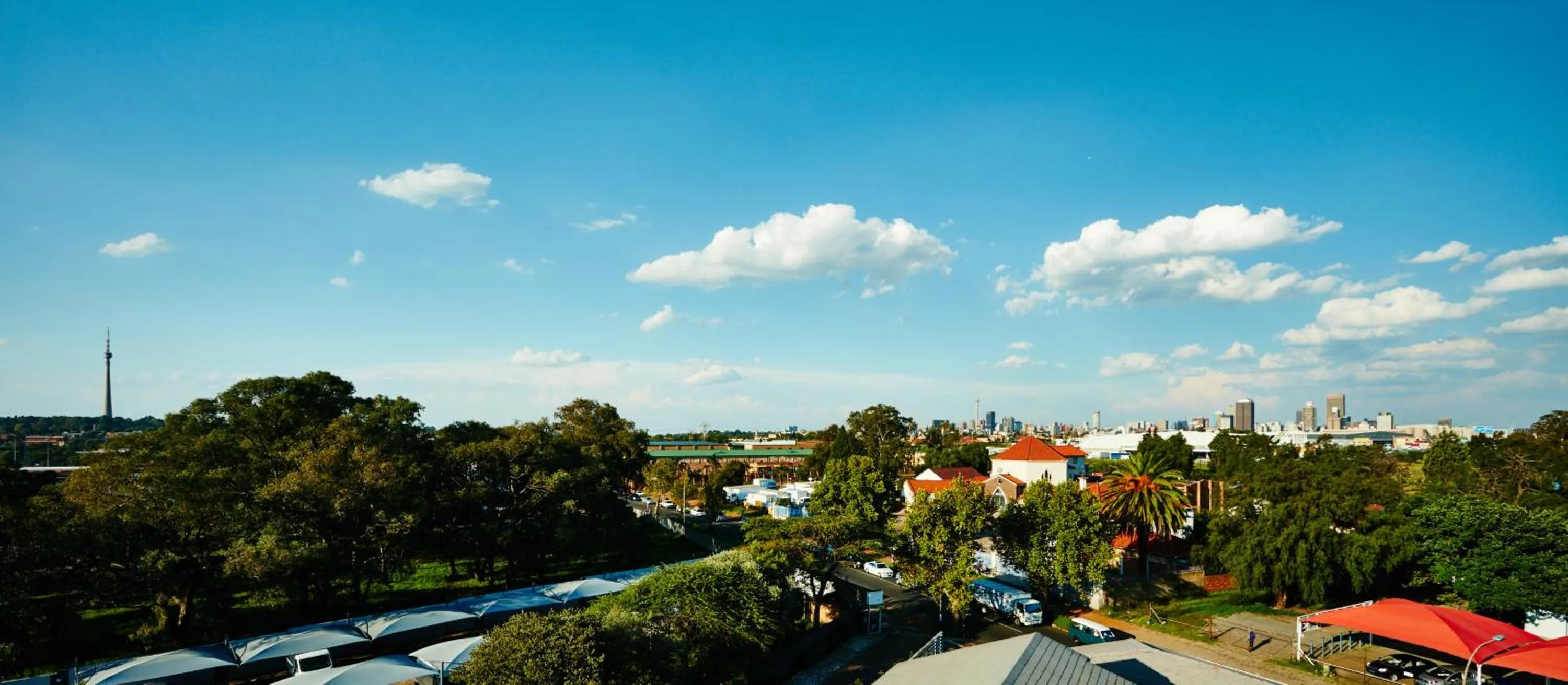 Day in Palm Continental Hotel