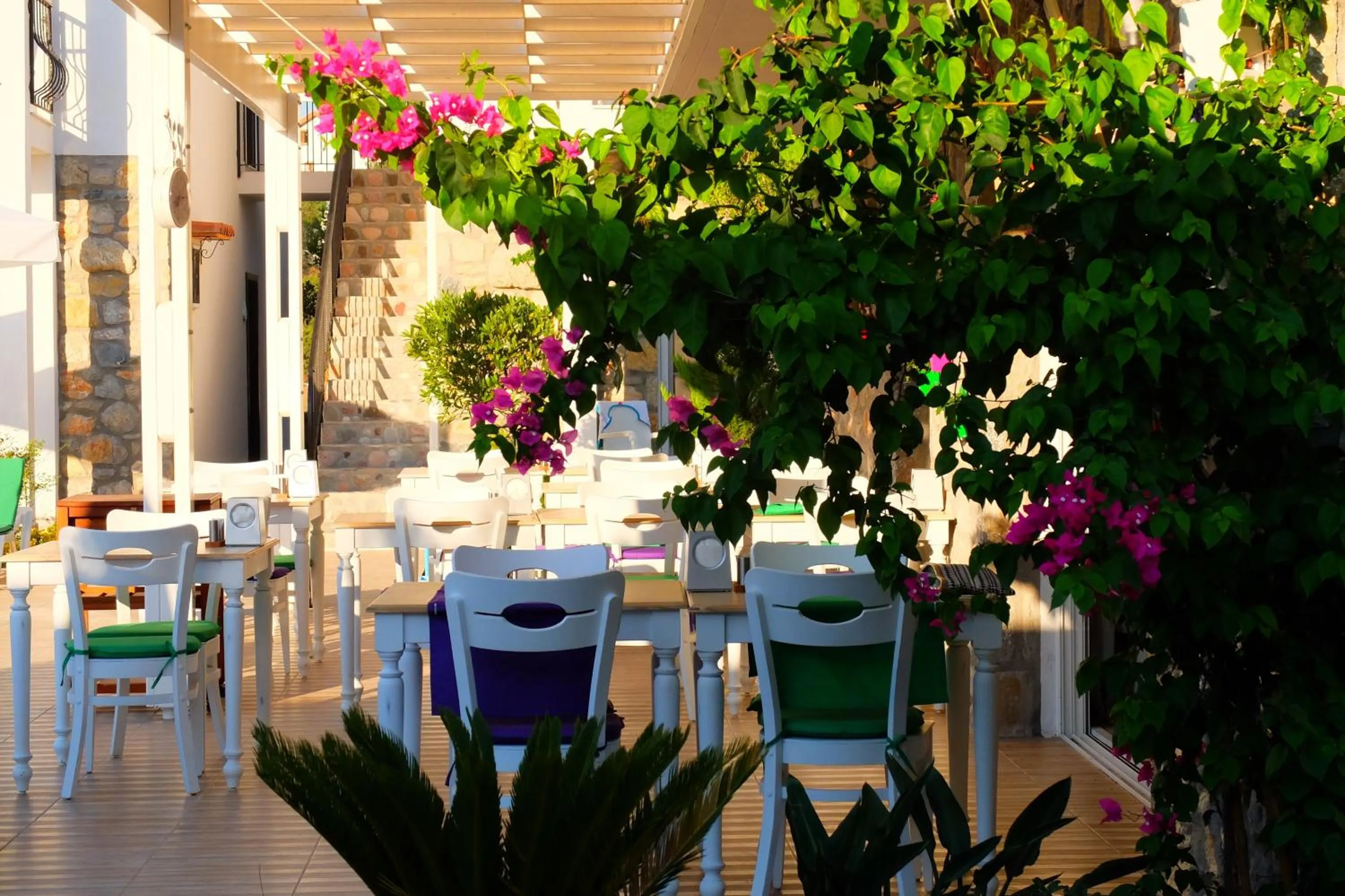Dining area in Kalina Hotel