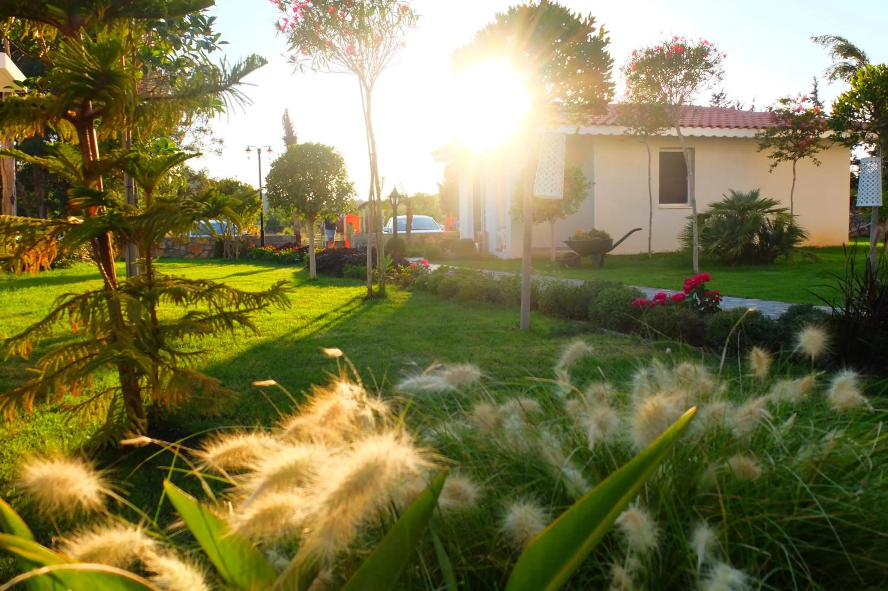 Garden in Kalina Hotel