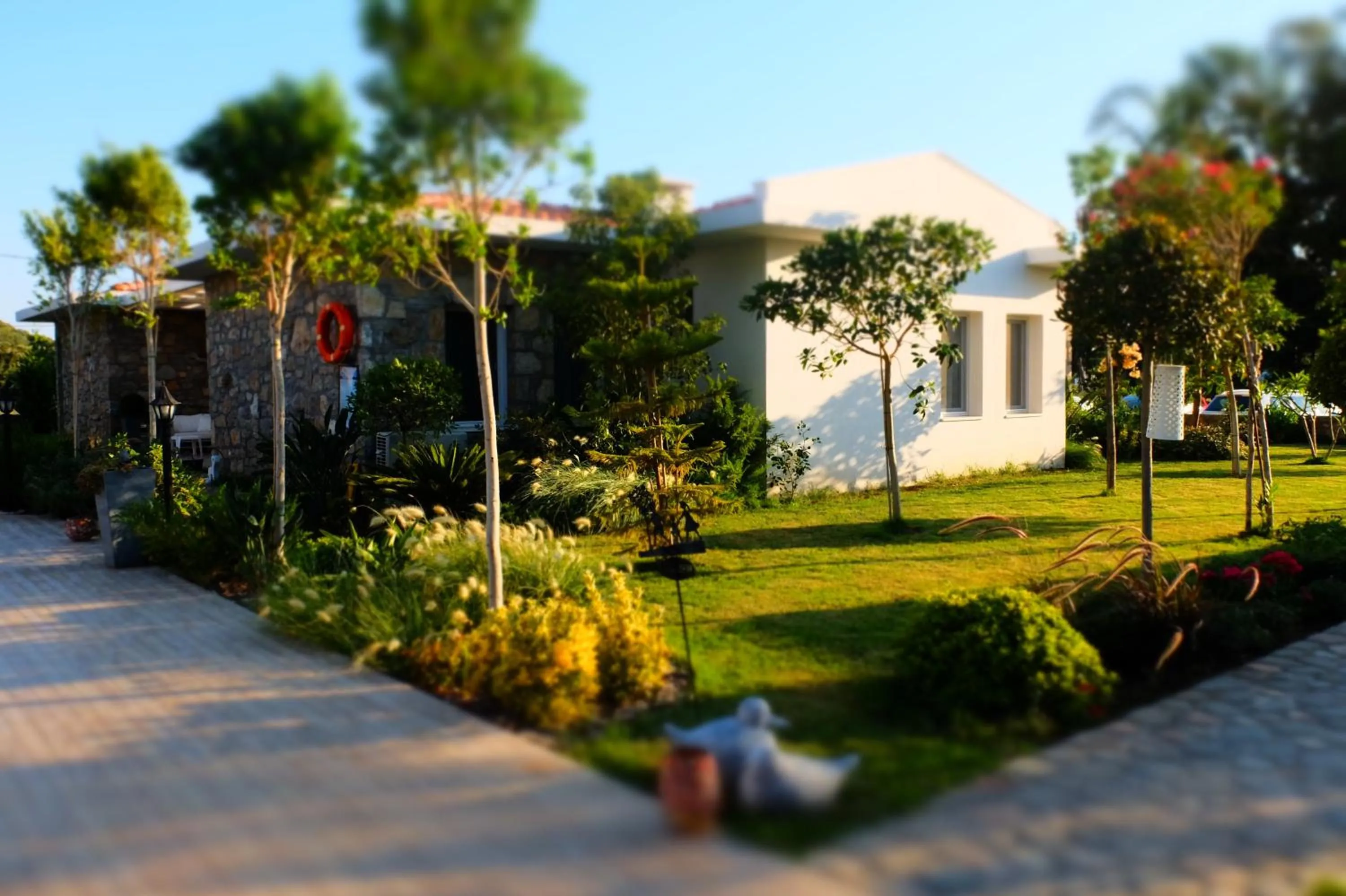 Garden in Kalina Hotel