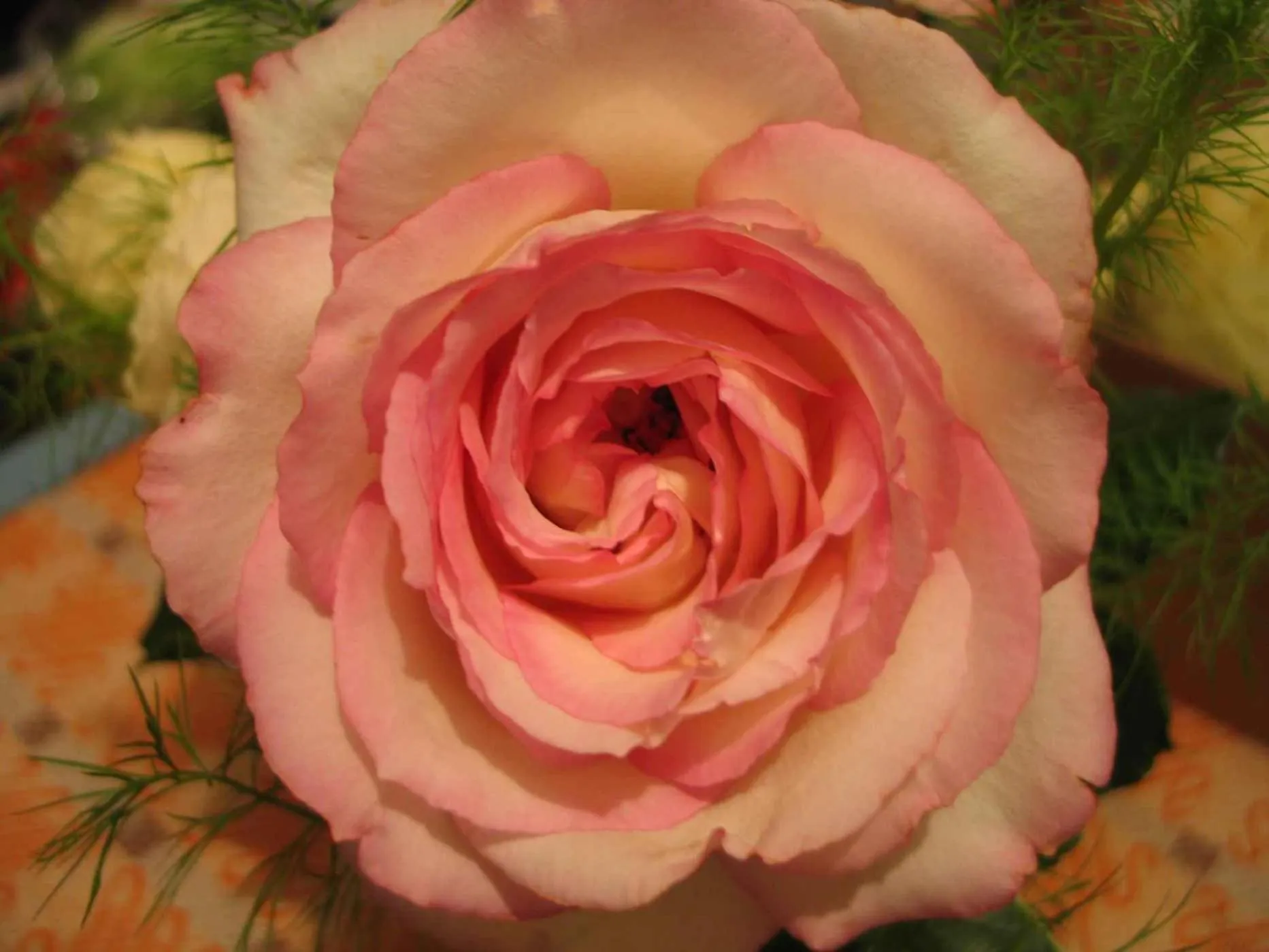 Garden in Hotel & Gasthof Garküche