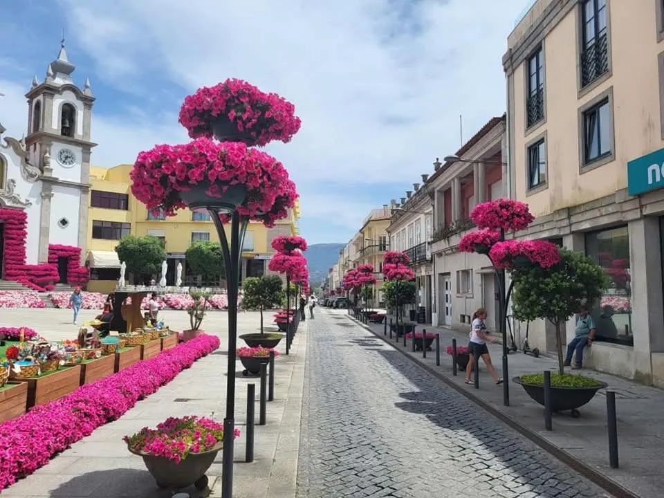 Spring in Apartamentos Turísticos Vila Praia