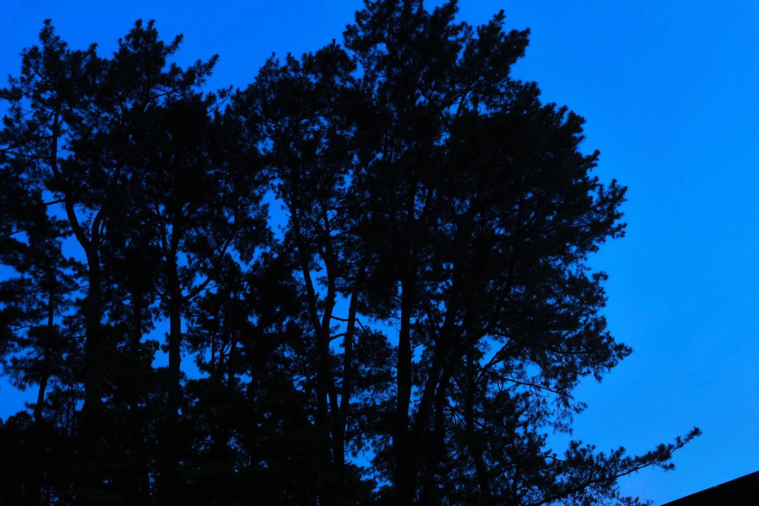 Off site in AMANE resort GAHAMA