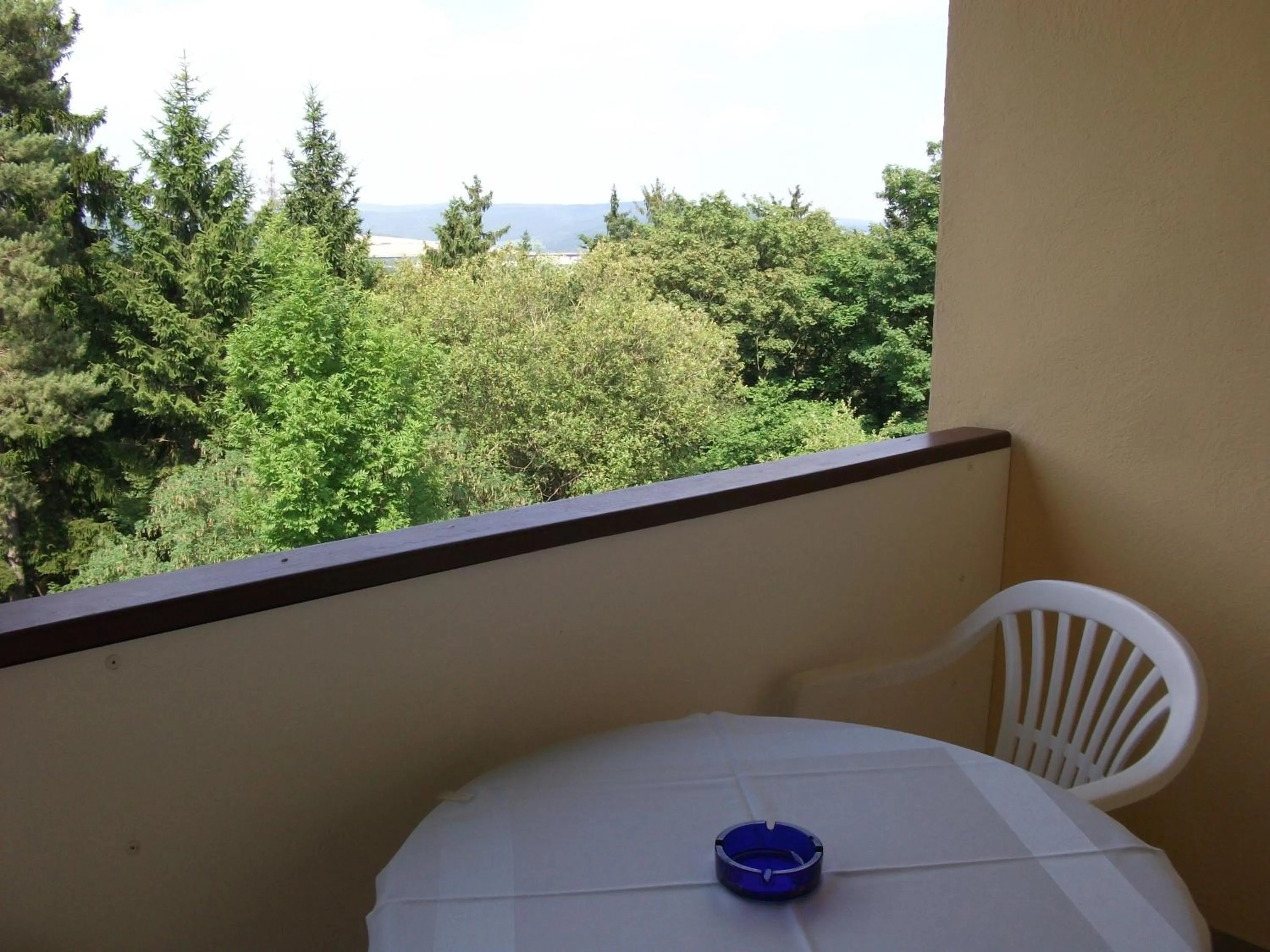 Balcony/Terrace in Hotel Am Wald -GARNI-
