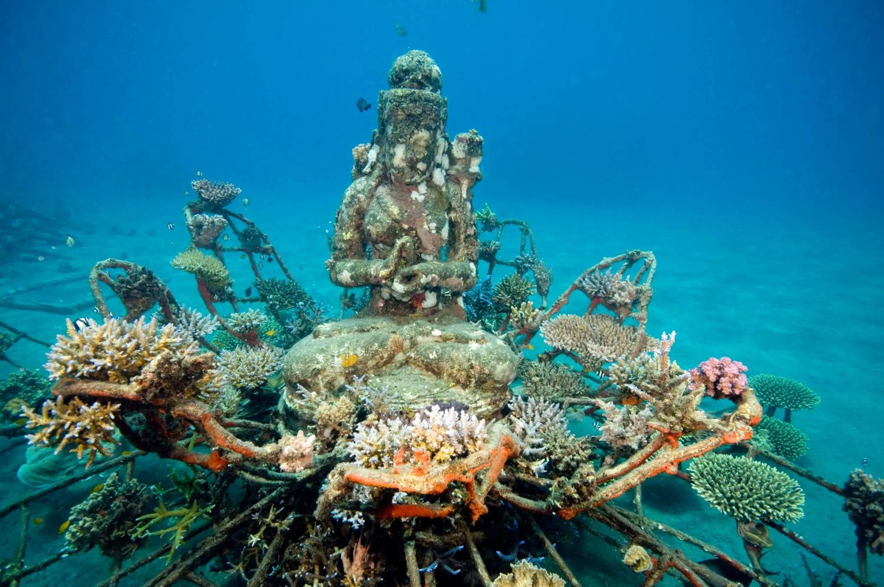 Other in Biorock Homestay & Dive Center Pemuteran