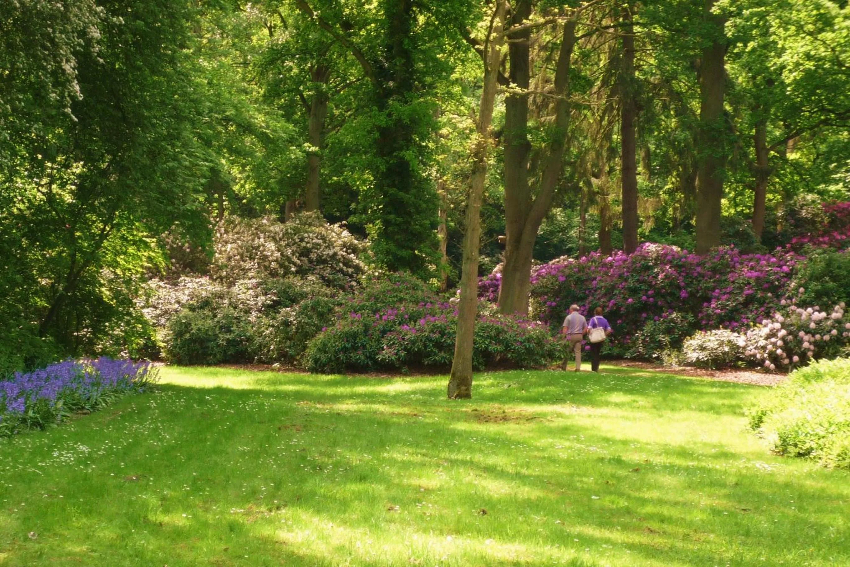 Spring in GastHaus Hotel Bremen