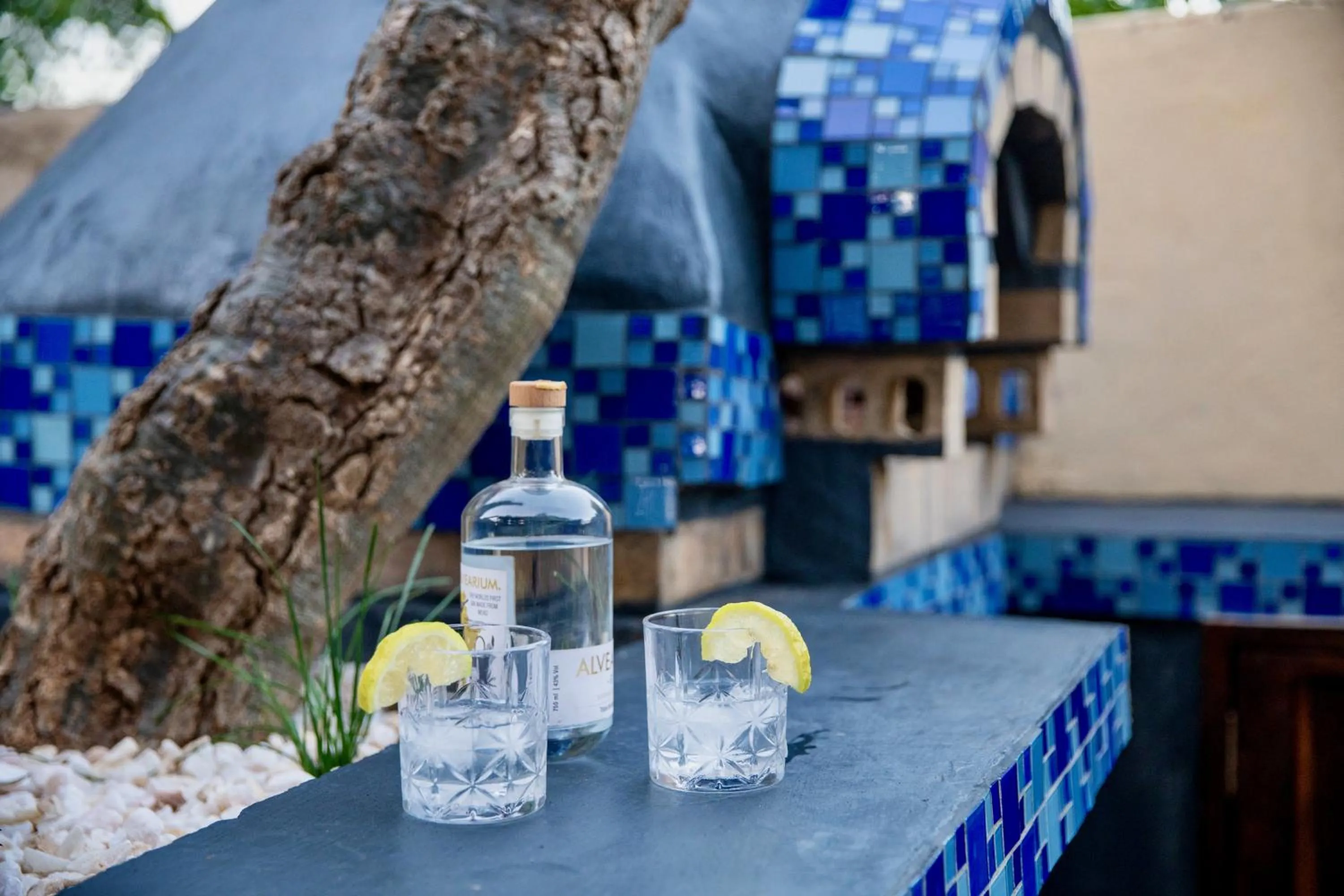 BBQ facilities in Kamunjila Lodge