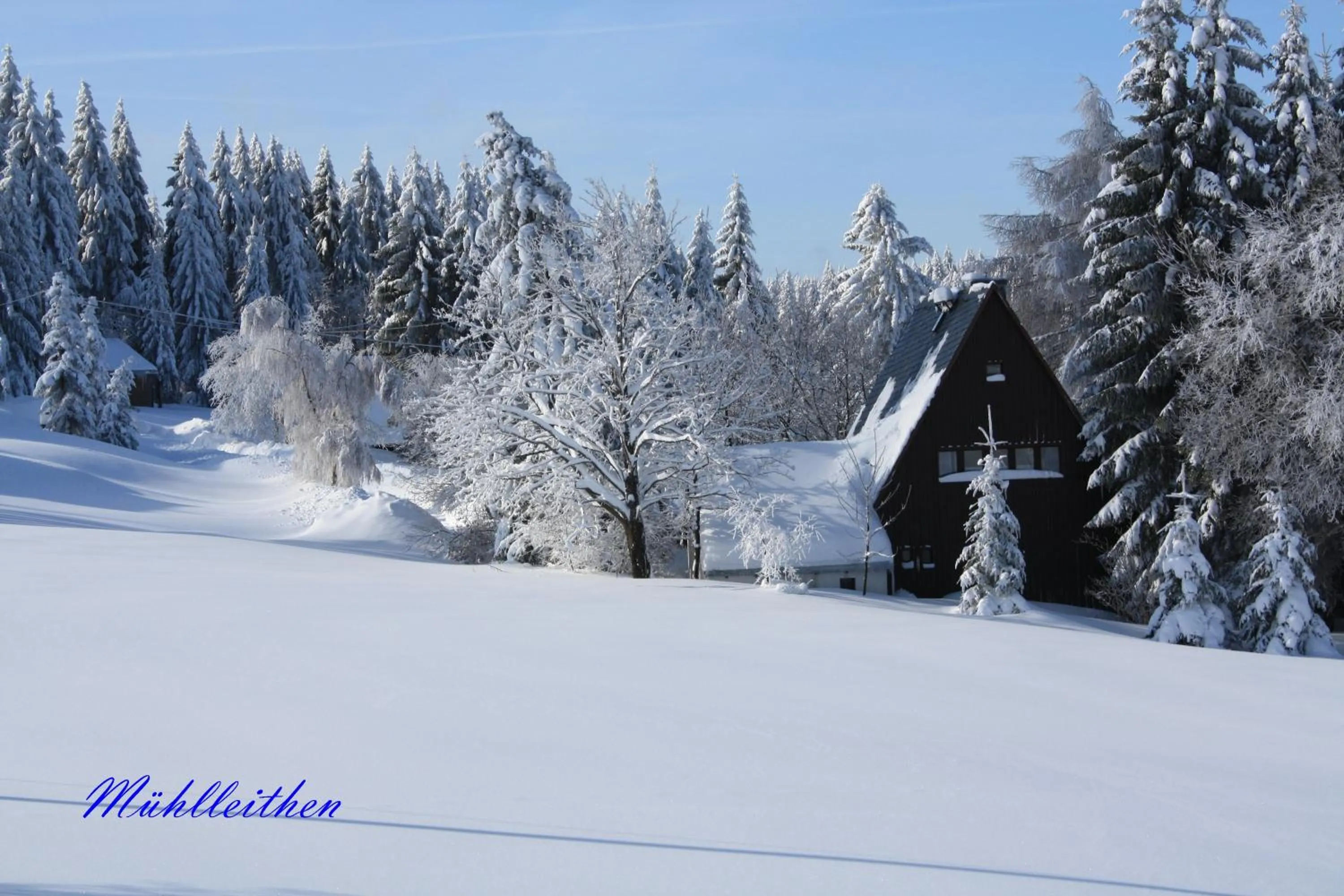 Ferienhotel Mühlleithen