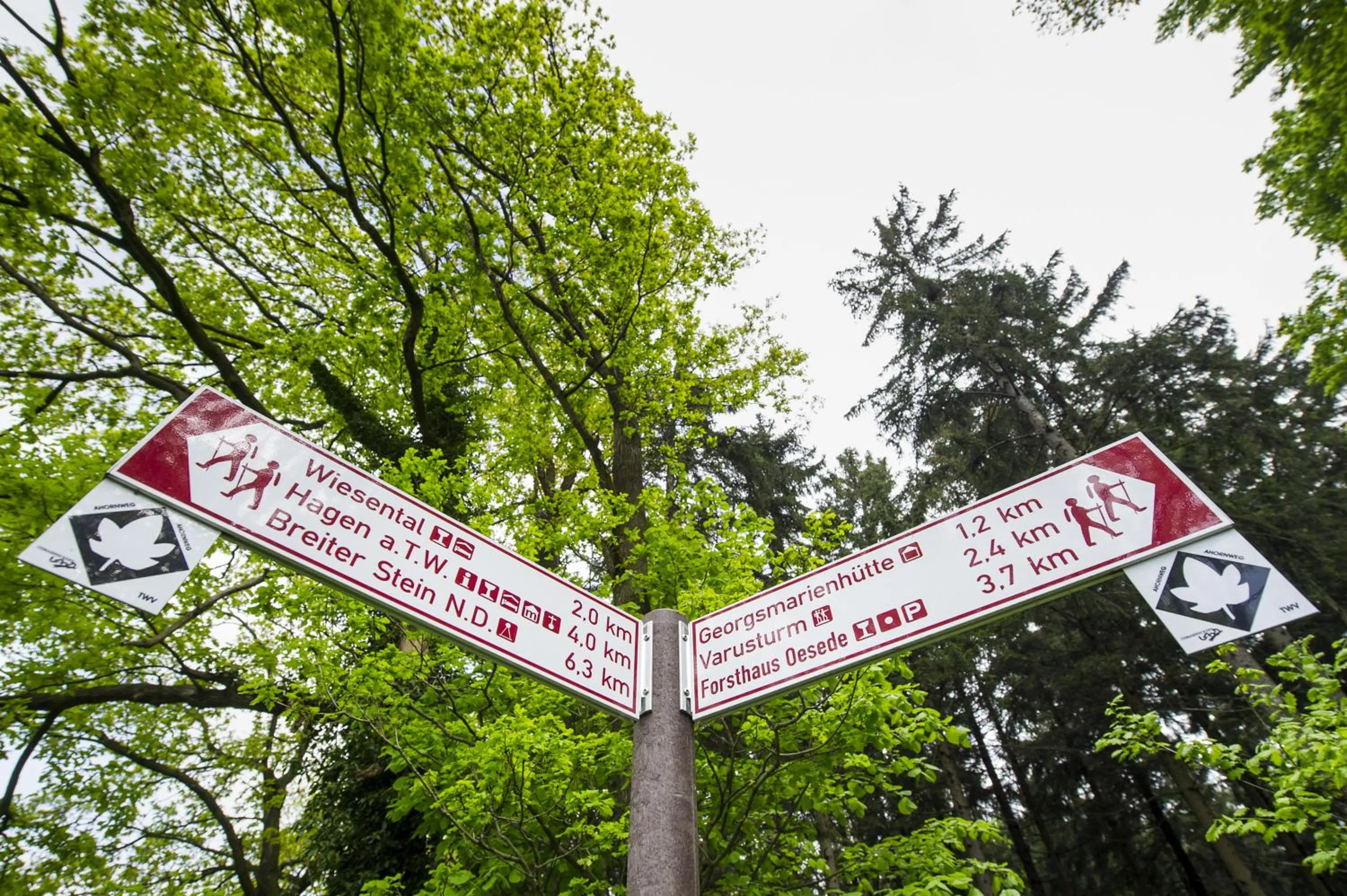 Off site in Landhotel Buller