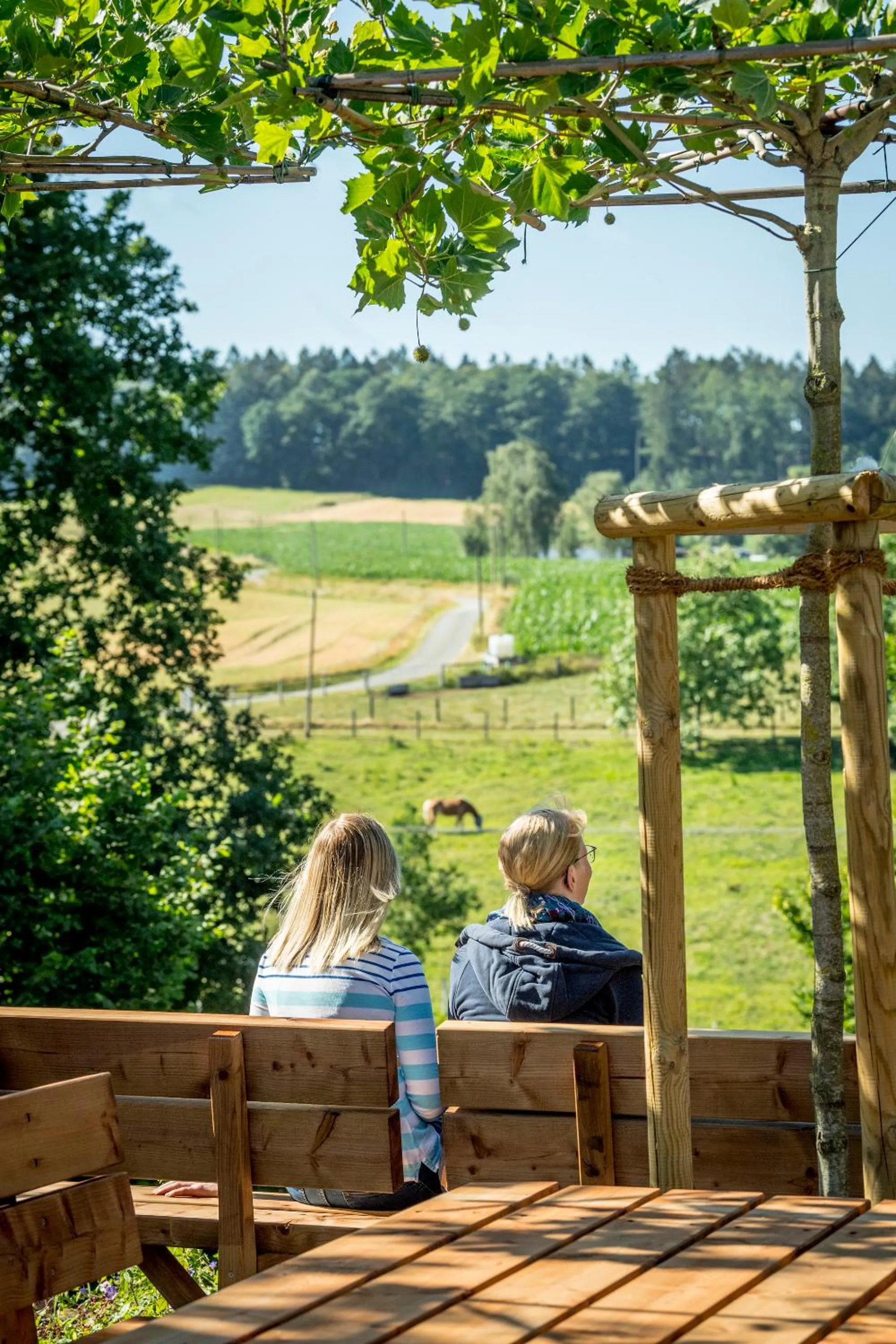 Garden in Landhotel Buller