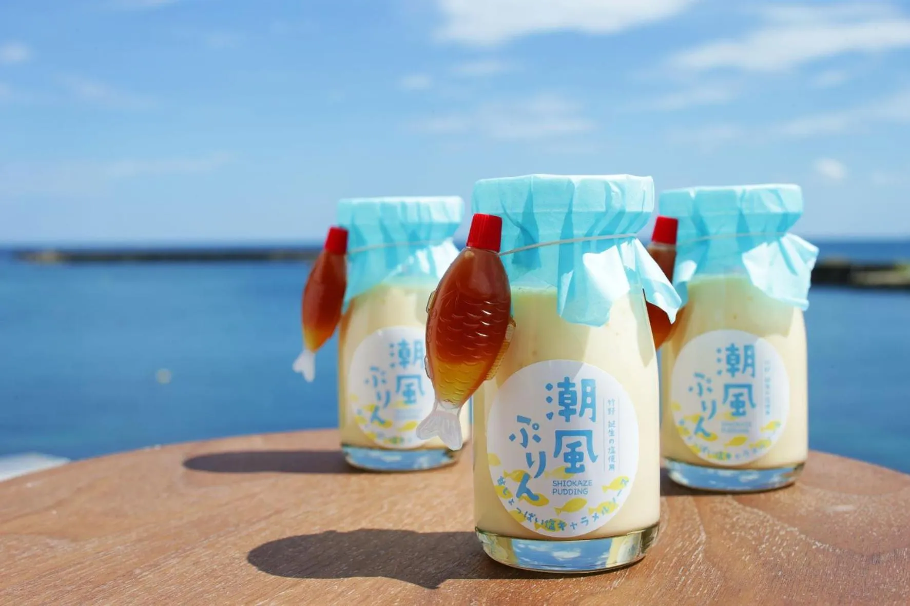 Sea view in Okukinosaki Seaside Hotel