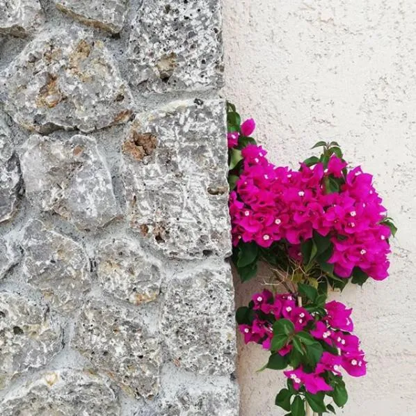Facade/entrance in The Mathraki Studios