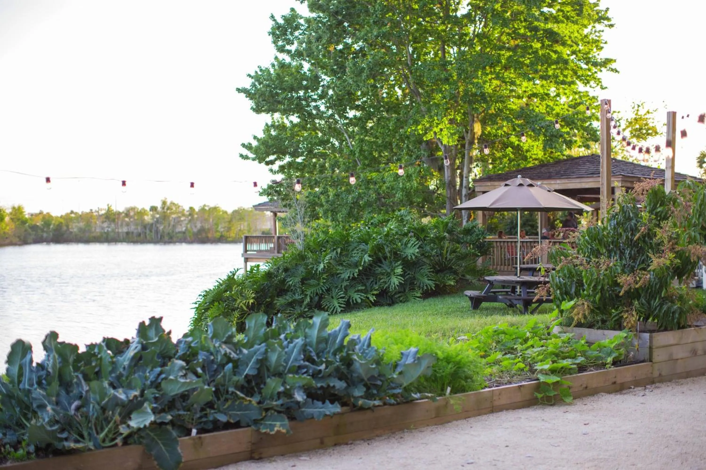 Meeting/conference room in Marriott Orlando Airport Lakeside