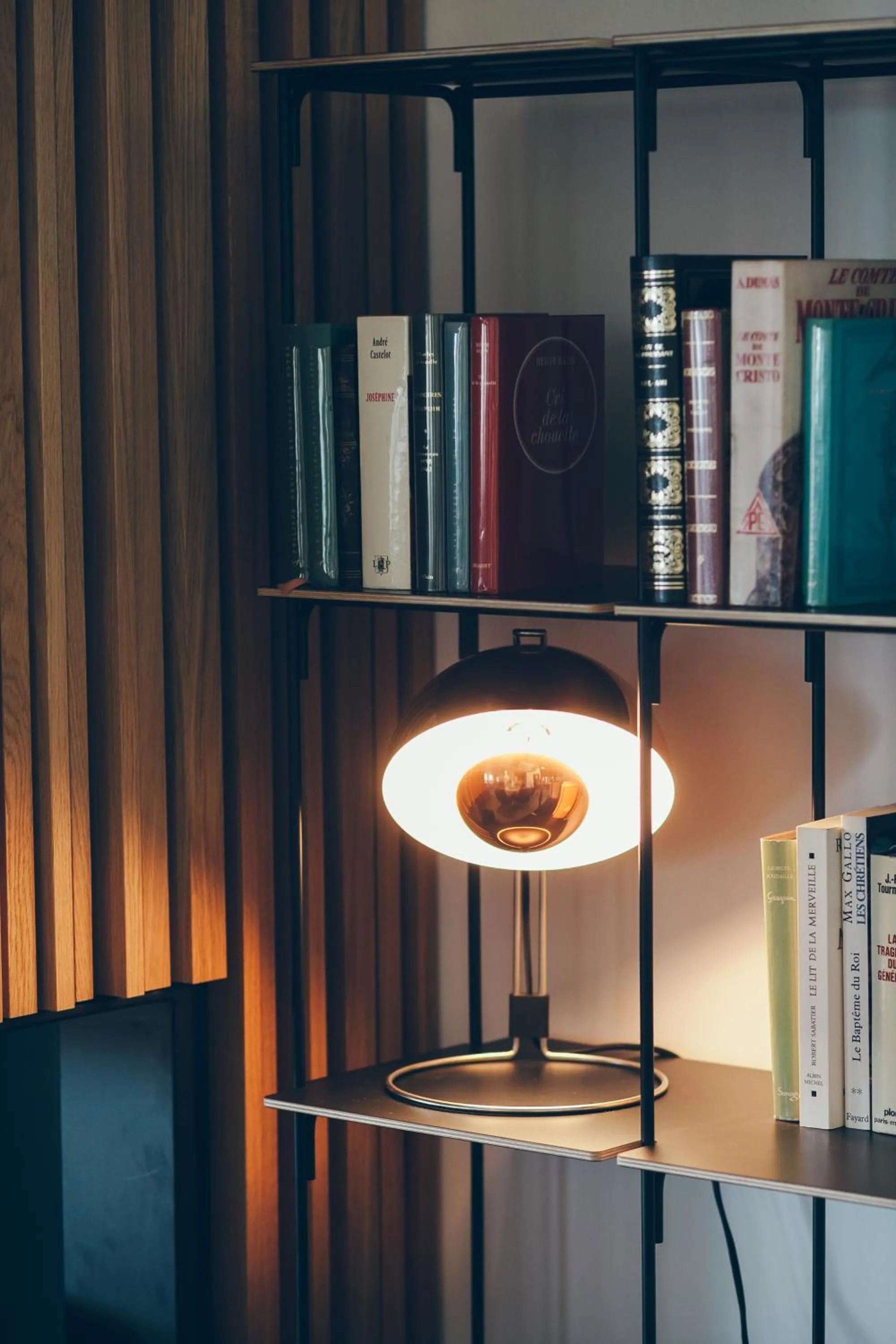 Library in Hôtel & Spa Villa Seren