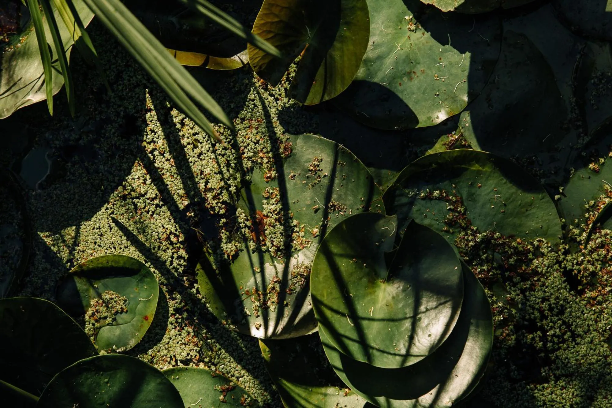 L'auberge Country Hideaway