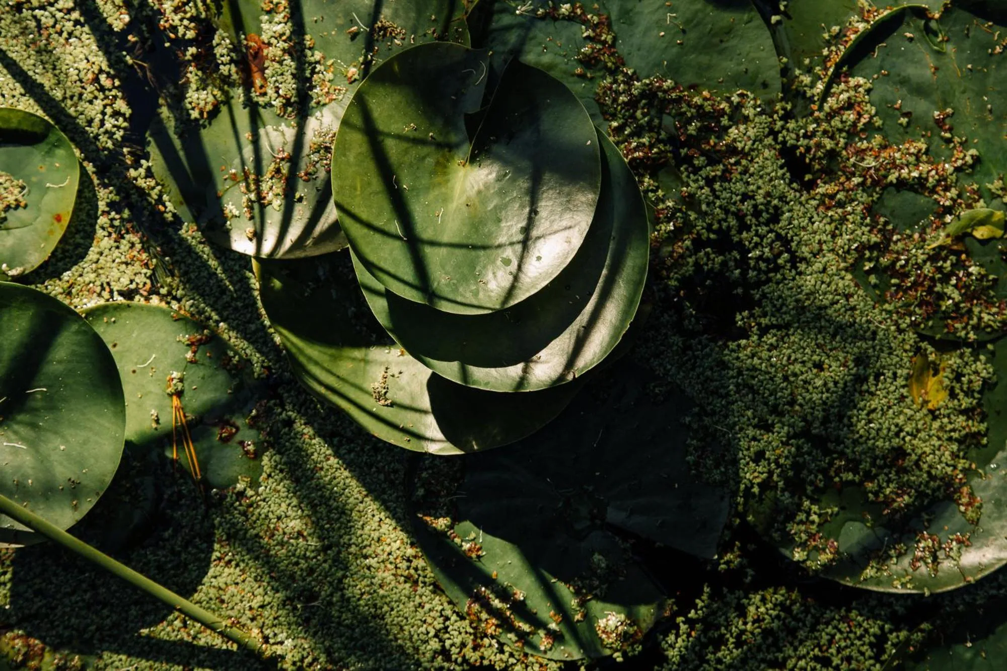 L'auberge Country Hideaway