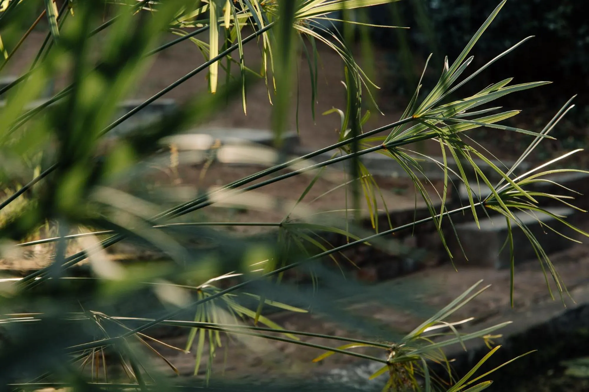 L'auberge Country Hideaway