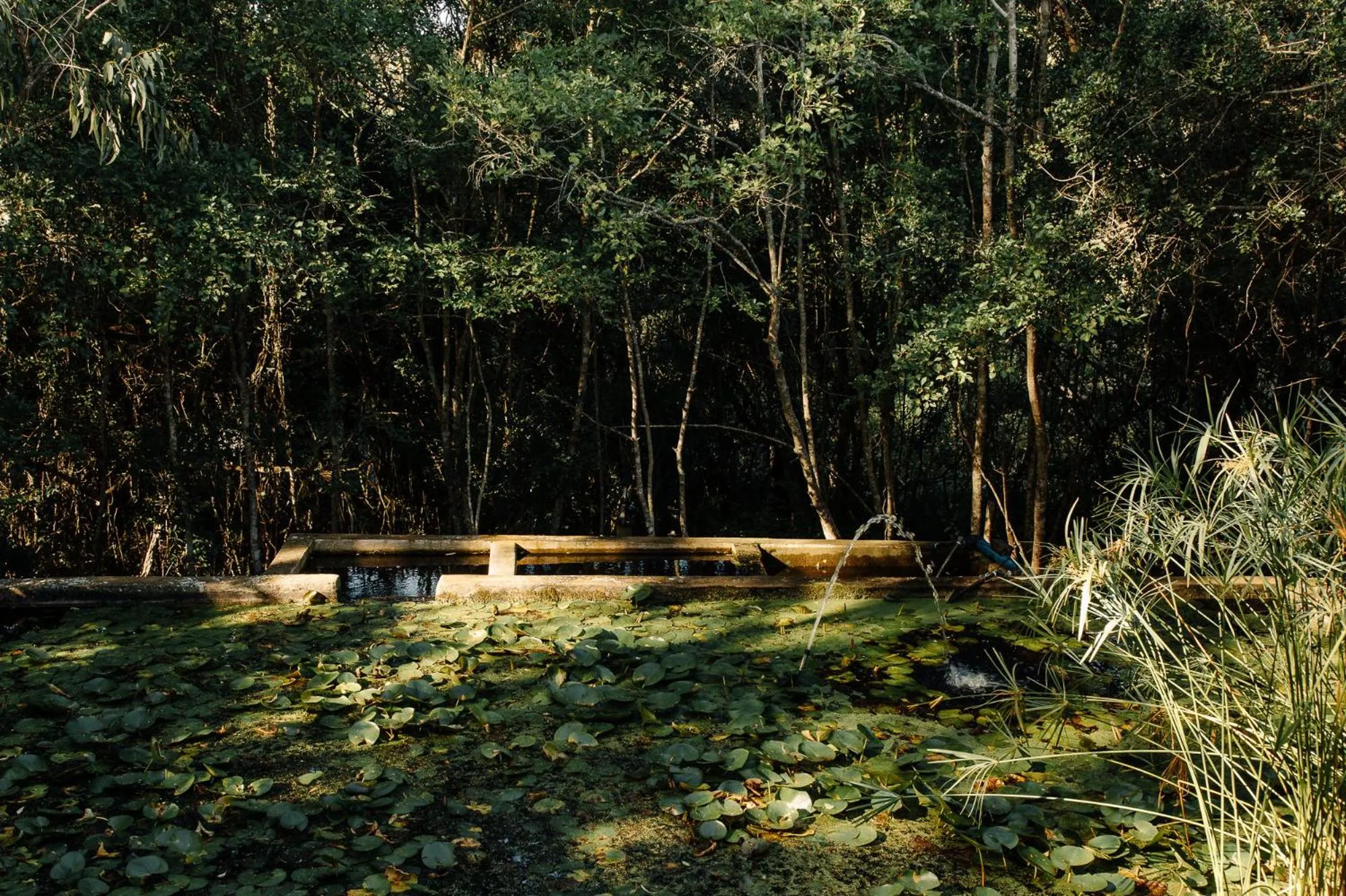 L'auberge Country Hideaway