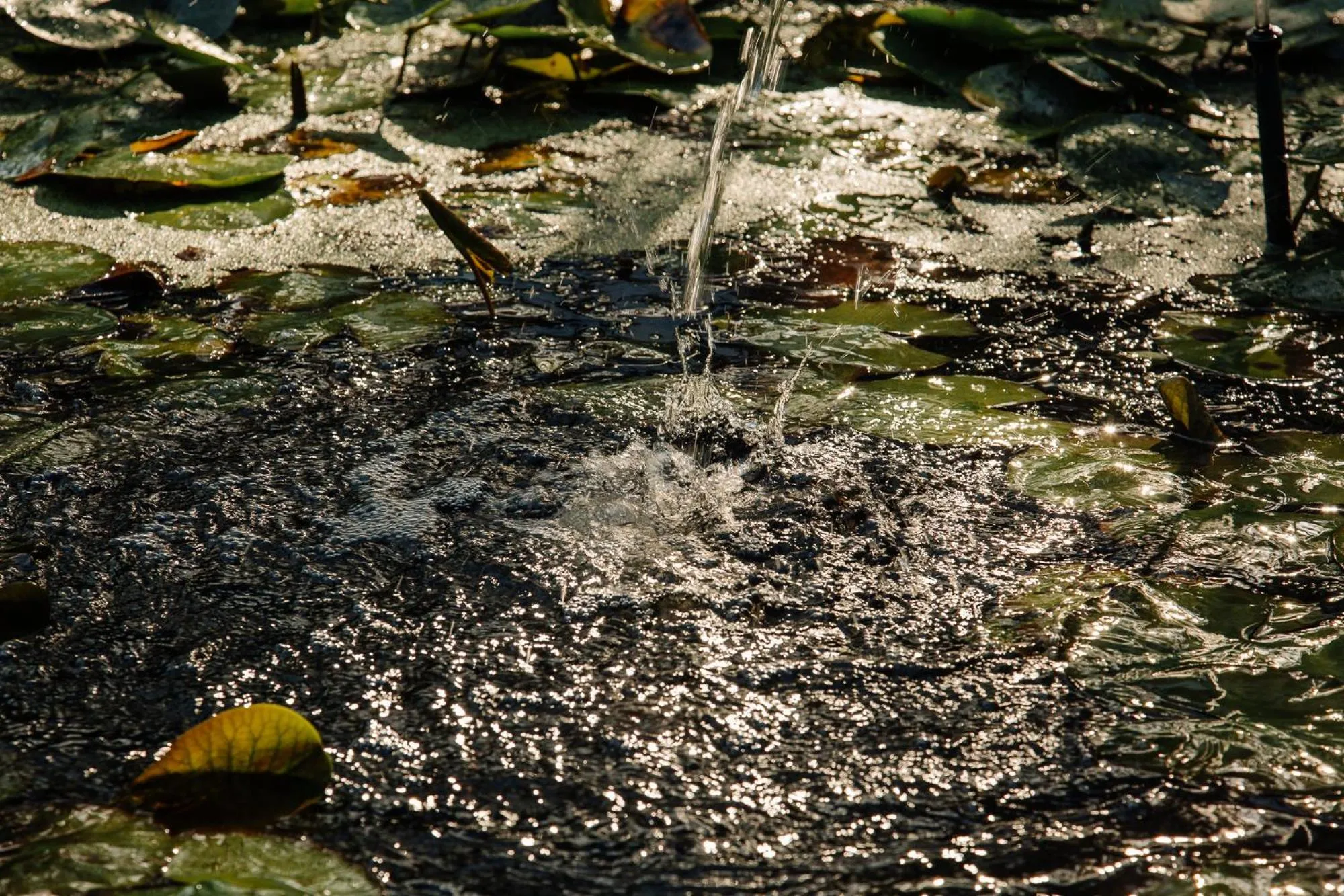 L'auberge Country Hideaway