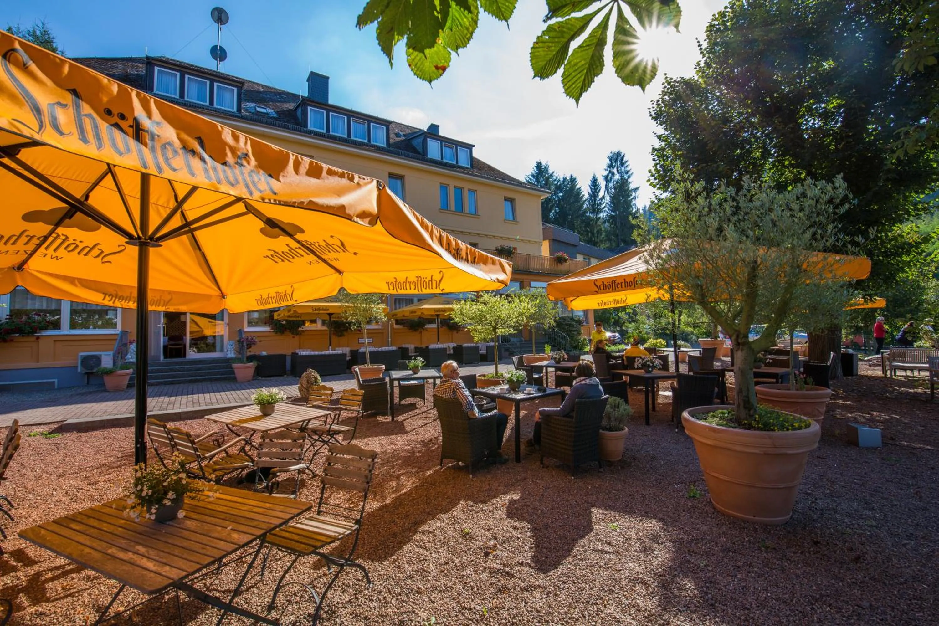 Balcony/Terrace in BSW Ferienhotel Lindenbach