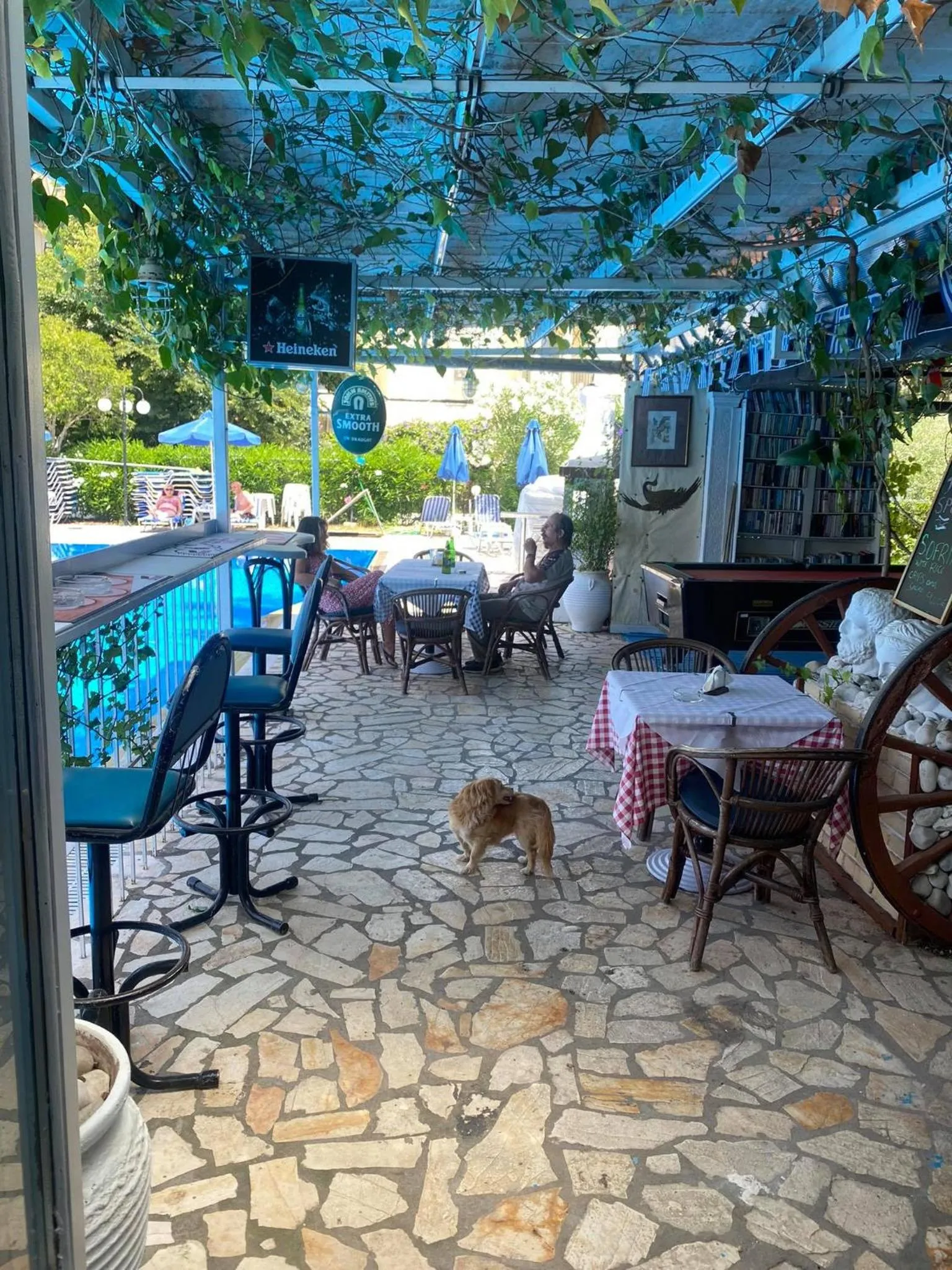 Alexandros Studios Apartments