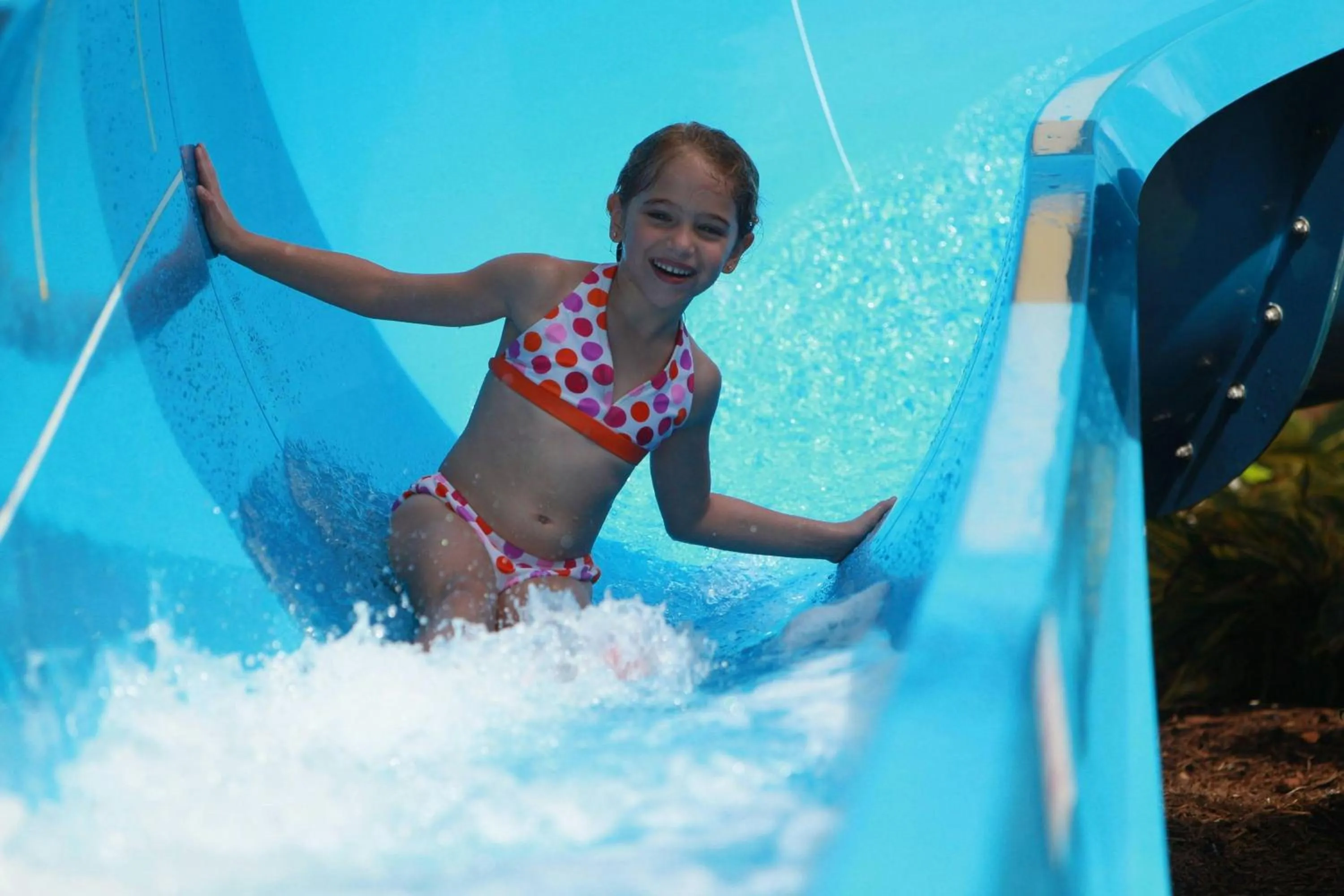 Other in Renaissance Orlando at SeaWorld®