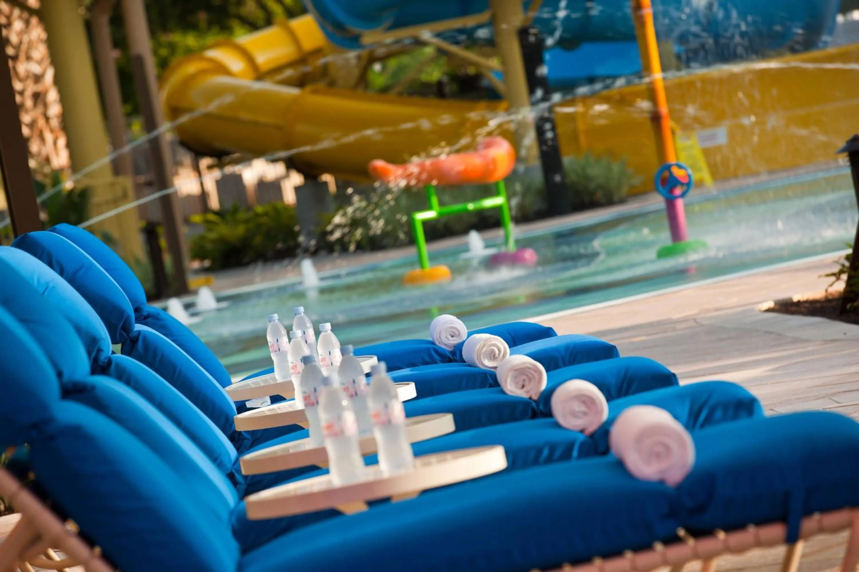 Lounge or bar in Renaissance Orlando at SeaWorld®