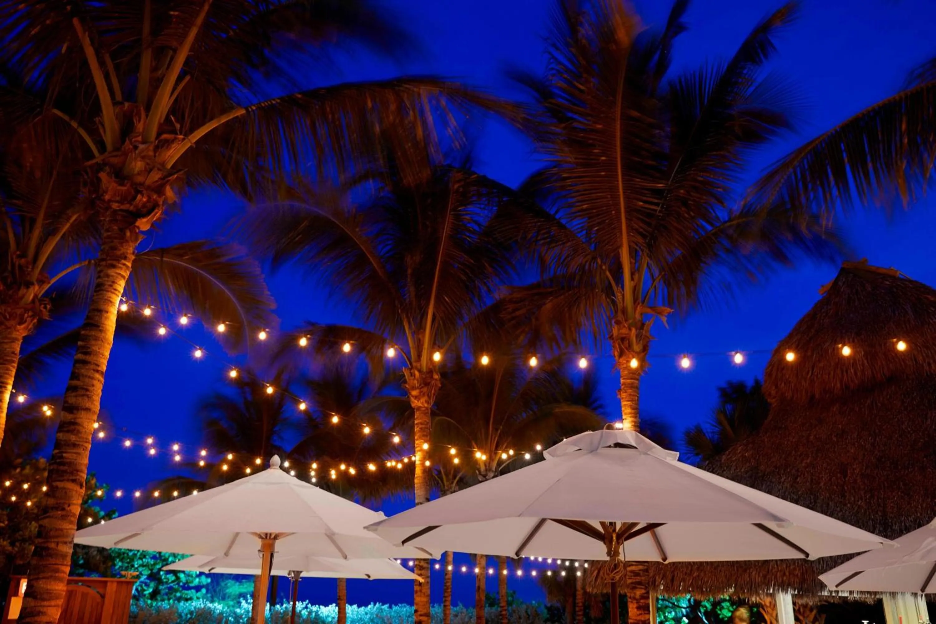 Restaurant/places to eat in Cadillac Hotel & Beach Club, Autograph Collection