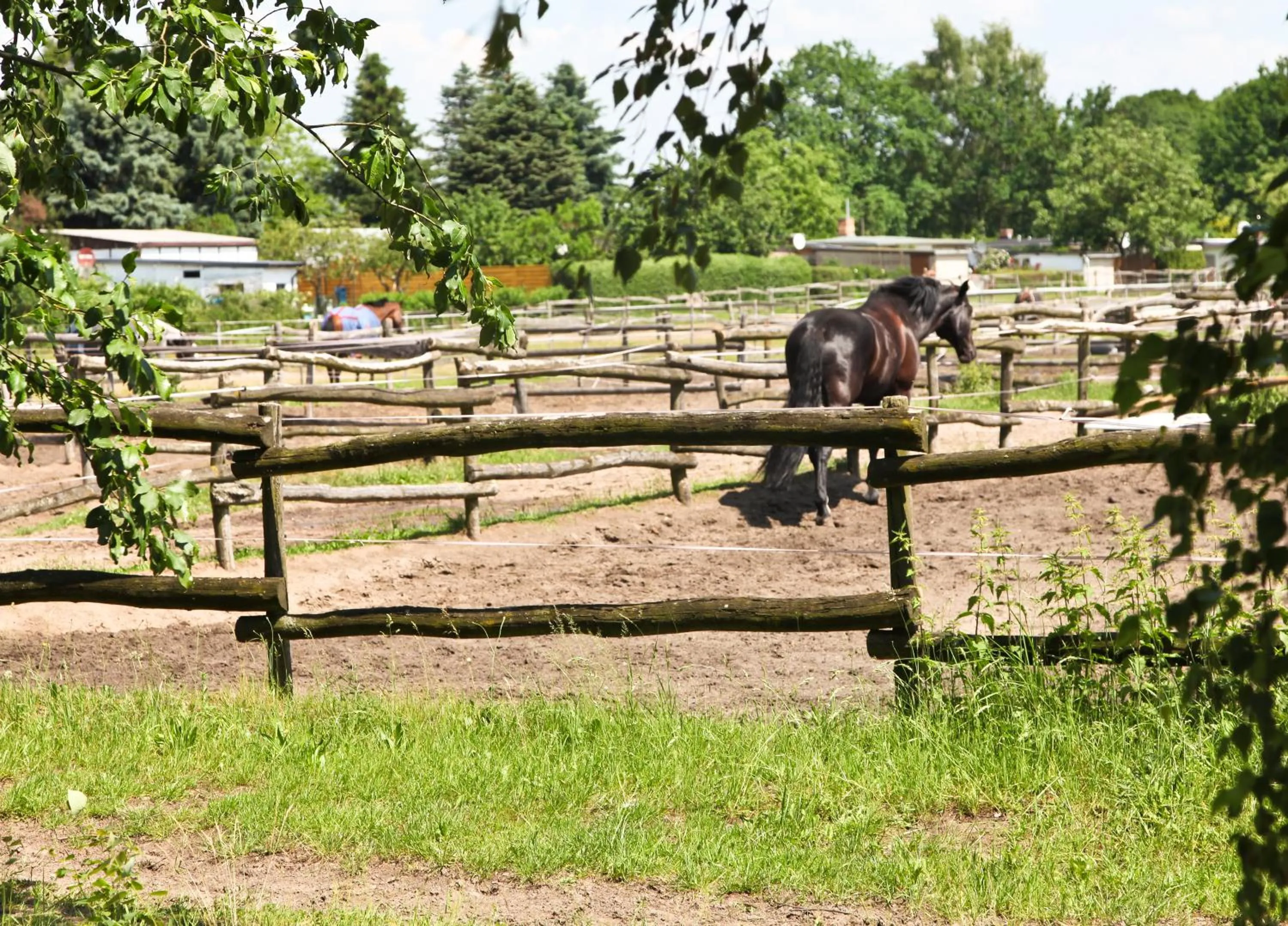 Horse-riding in Country Inn Suitenhotel