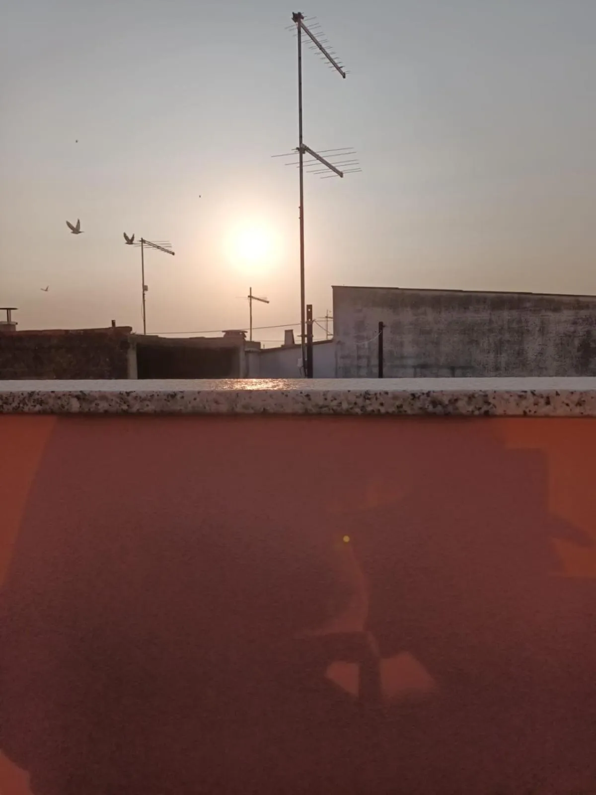 Day in Affittacamere BaLu