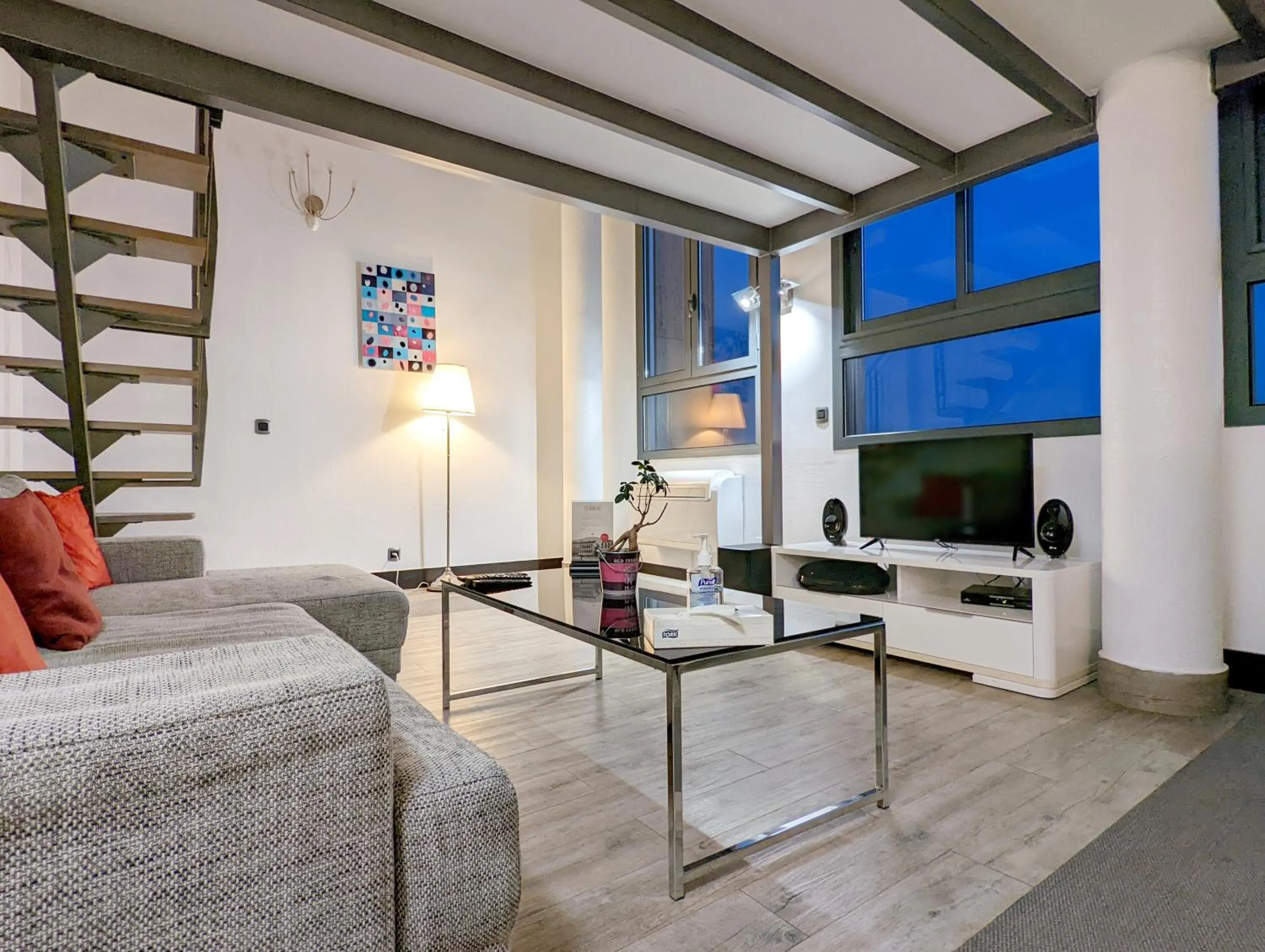 TV and multimedia in Haut Lofts - Toulouse Centre Ramblas